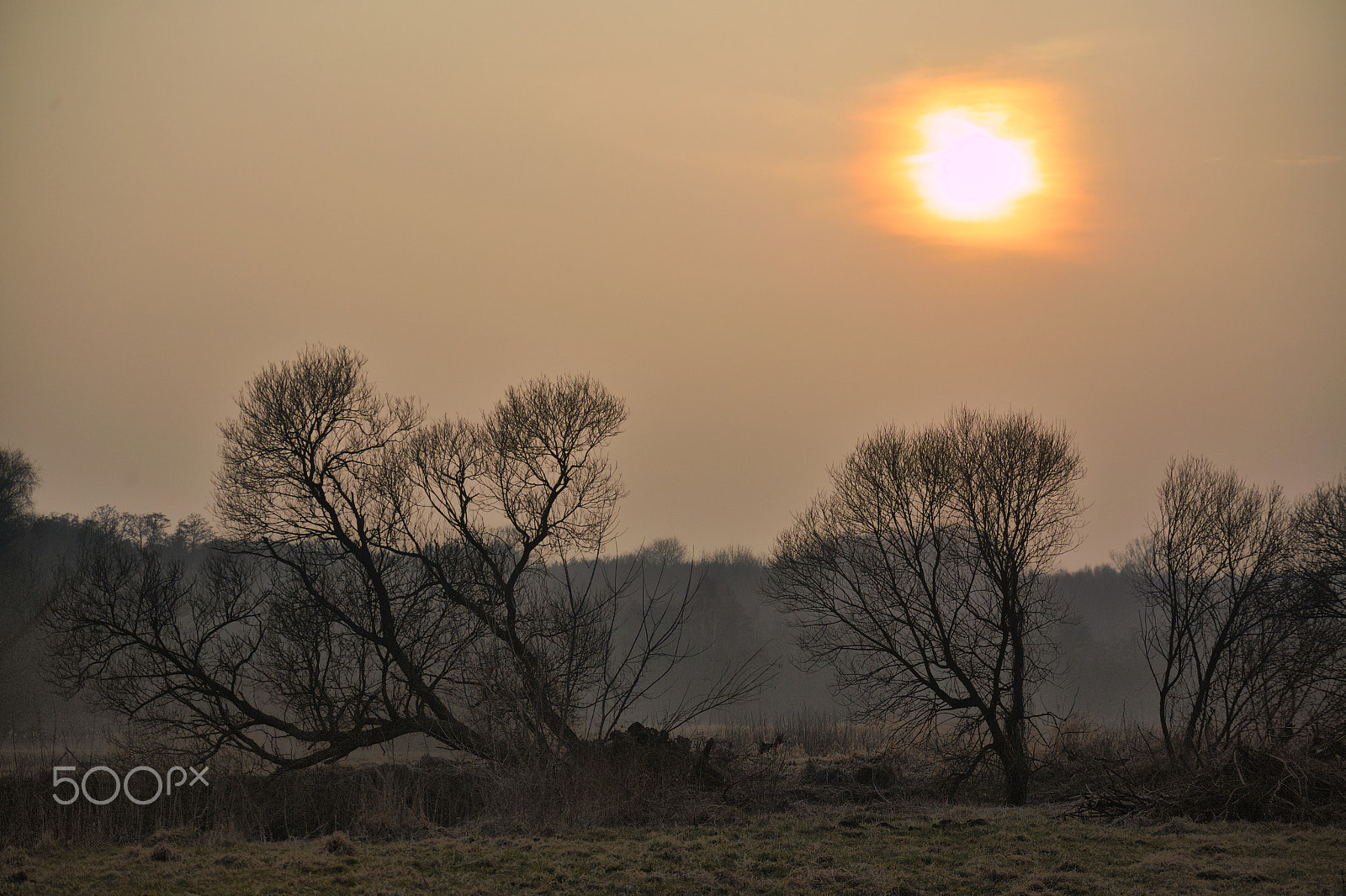 Nikon 1 Nikkor VR 30-110mm F3.8-5.6 sample photo. Cool morning photography
