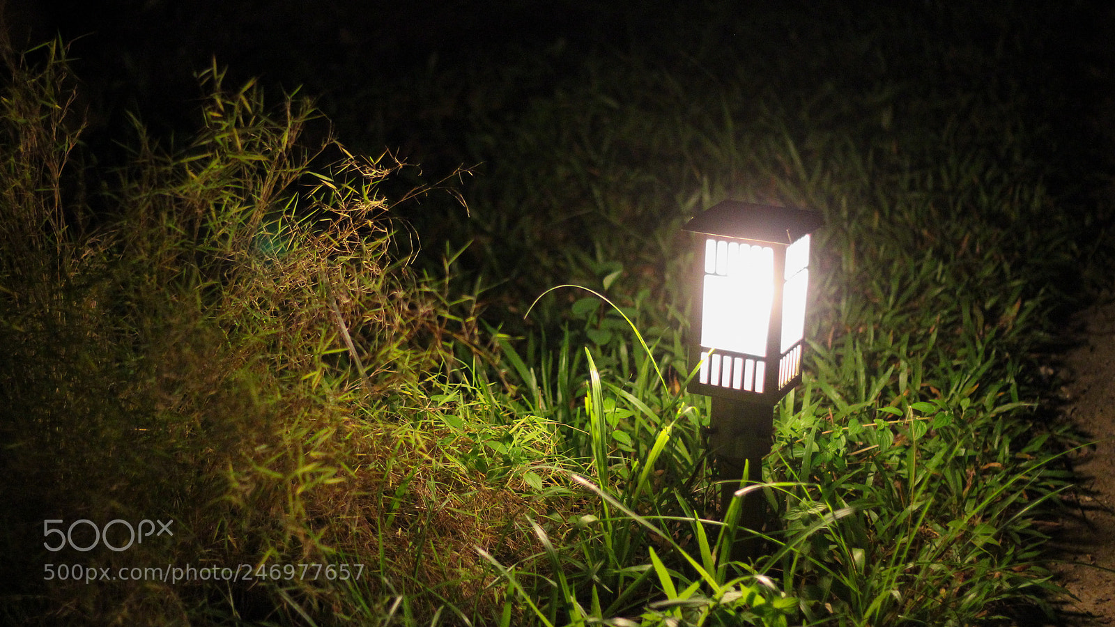 Canon EOS 600D (Rebel EOS T3i / EOS Kiss X5) sample photo. Night lamp photography