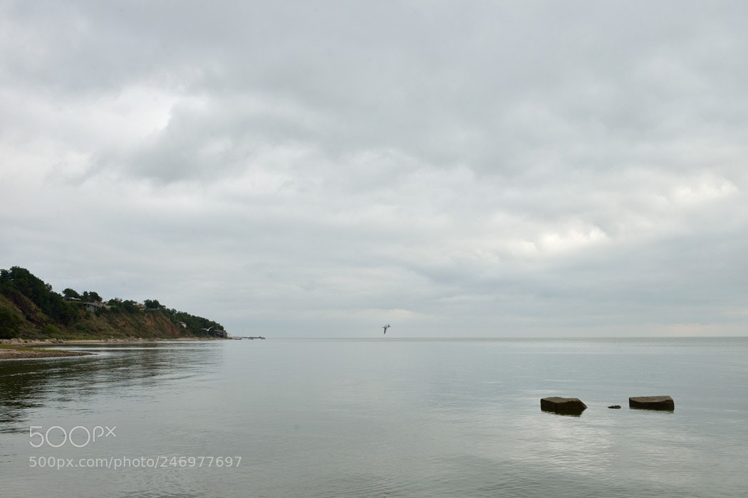 Nikon D800 sample photo. Taganrog bay photography