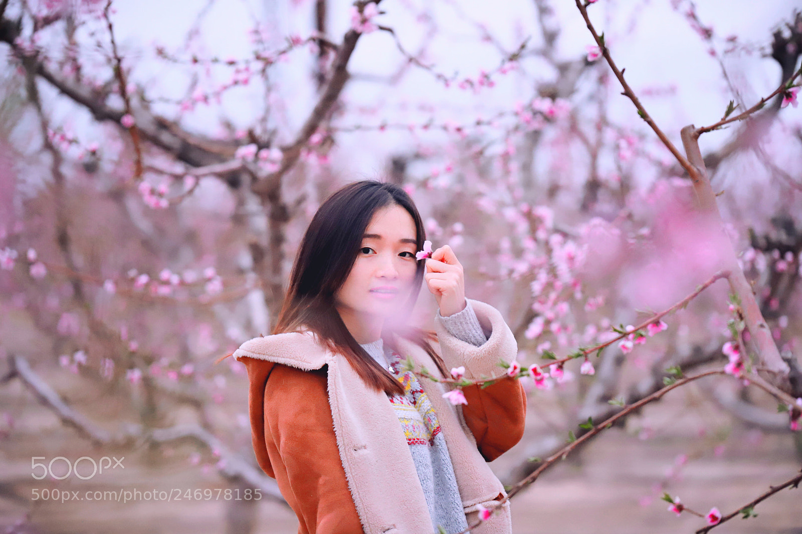Canon EOS 6D Mark II sample photo. 桃源记⑤ photography