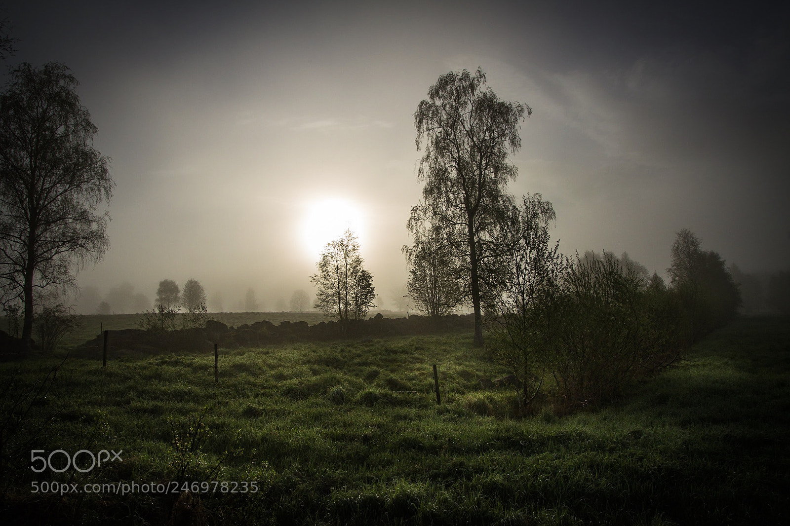 Canon EOS 7D sample photo. Sunrise , småland photography