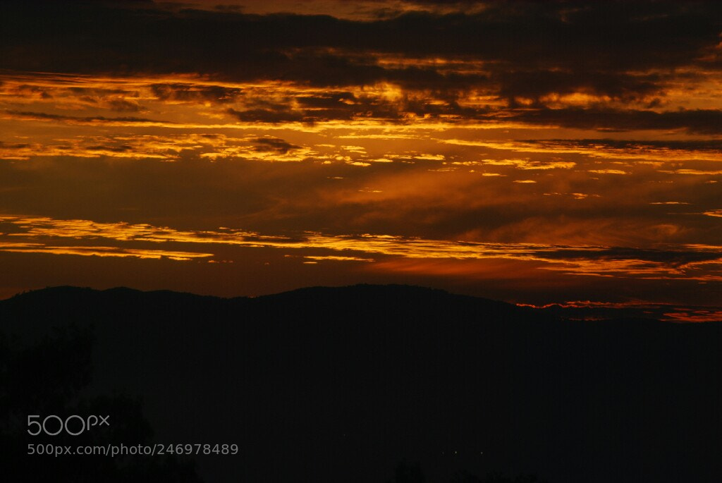 Nikon D60 sample photo. When the sun goes photography