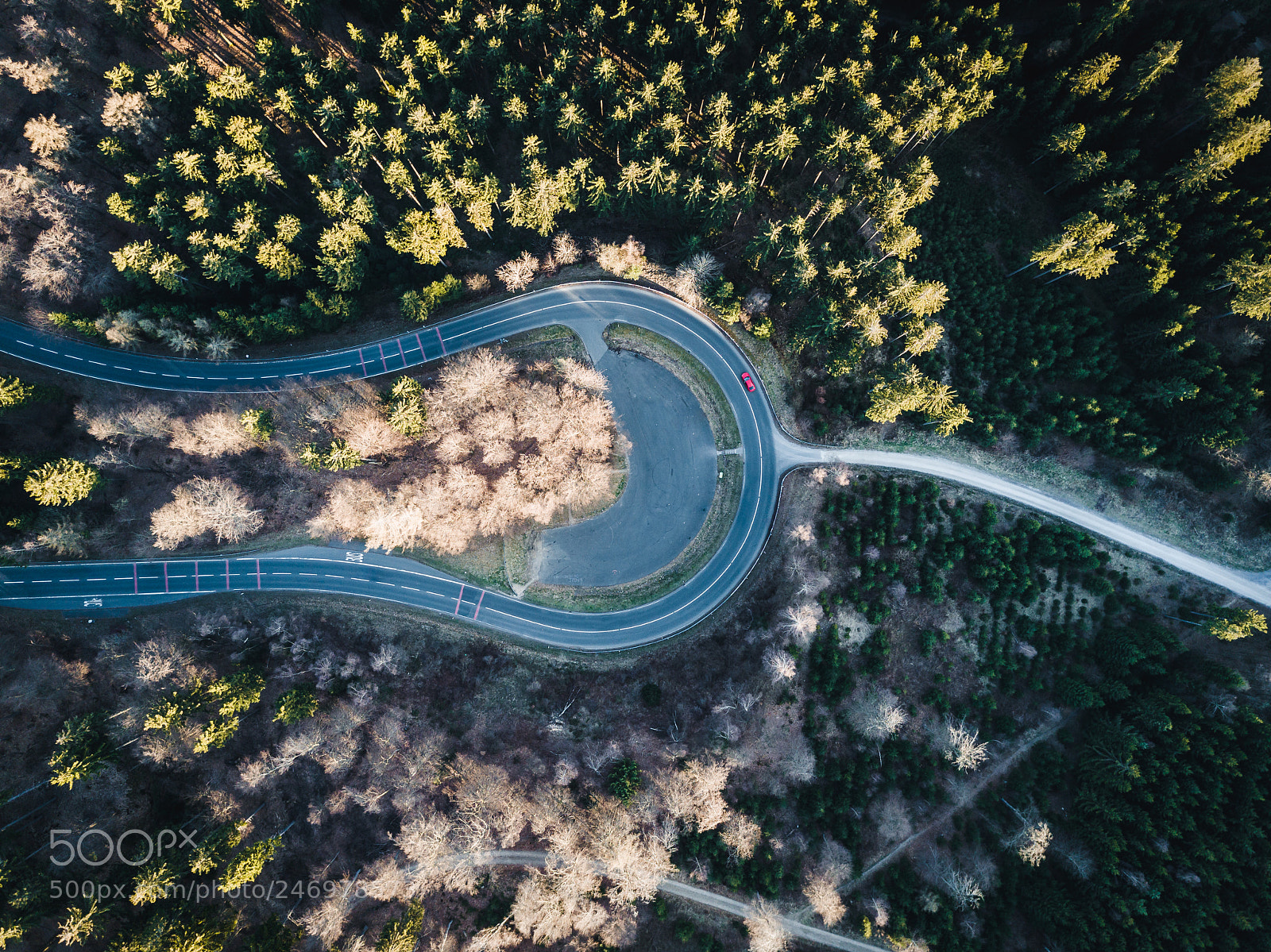 DJI FC220 sample photo. Red car out photography