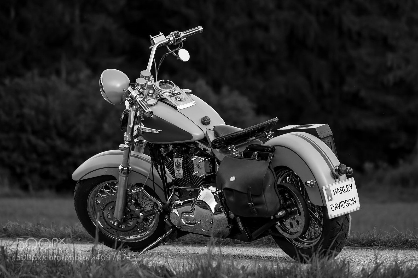 Canon EOS 7D sample photo. Harley davidson photography