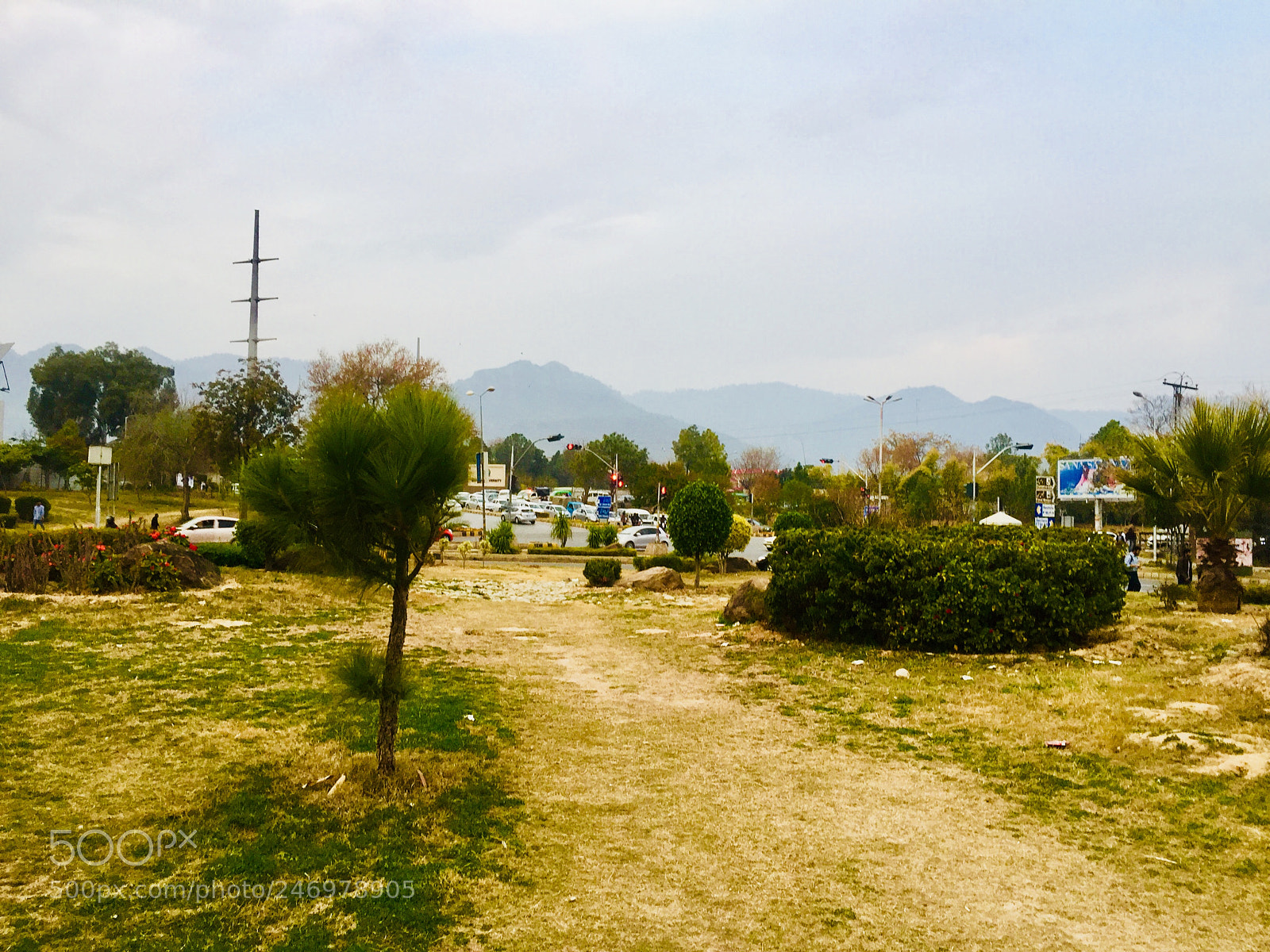 Apple iPhone 6 sample photo. Untitled photography