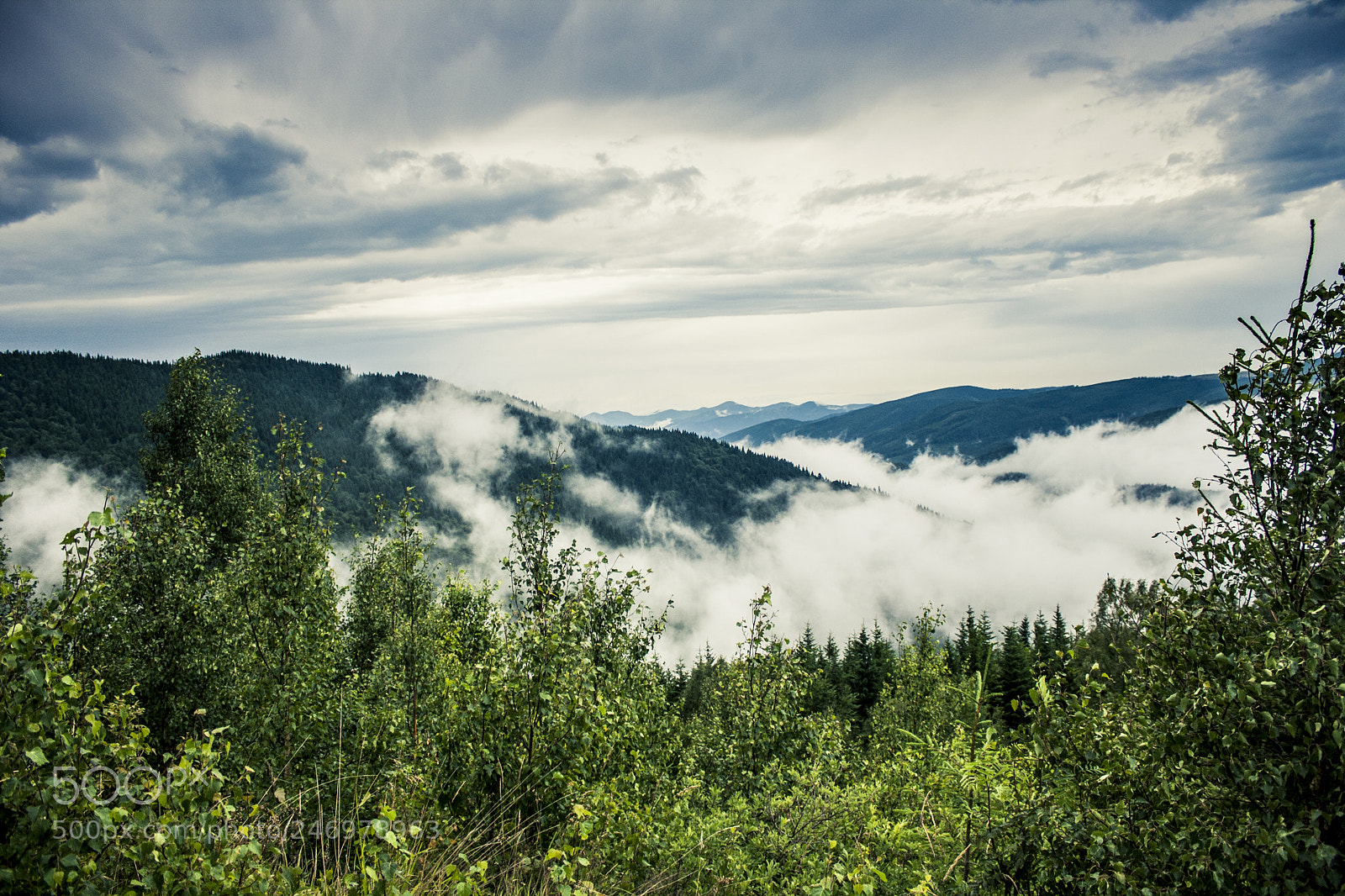 Canon EOS 1000D (EOS Digital Rebel XS / EOS Kiss F) sample photo. Foggy mountain photography