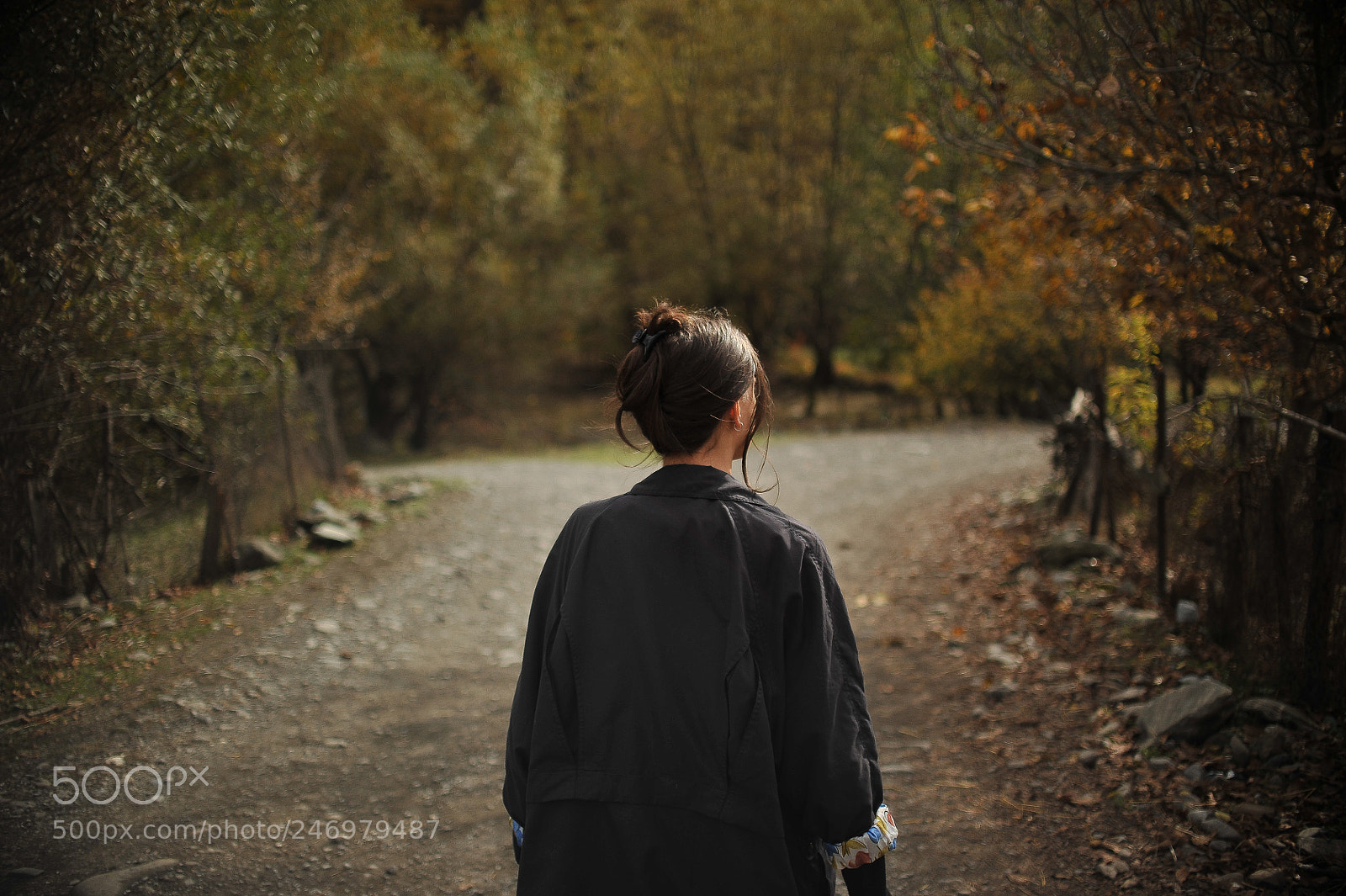 Nikon D700 sample photo. Hike photography
