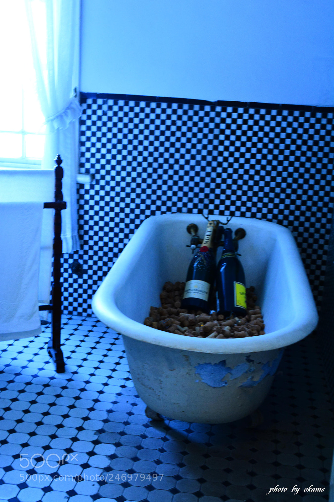 Nikon D5200 sample photo. (toast in the bath) photography