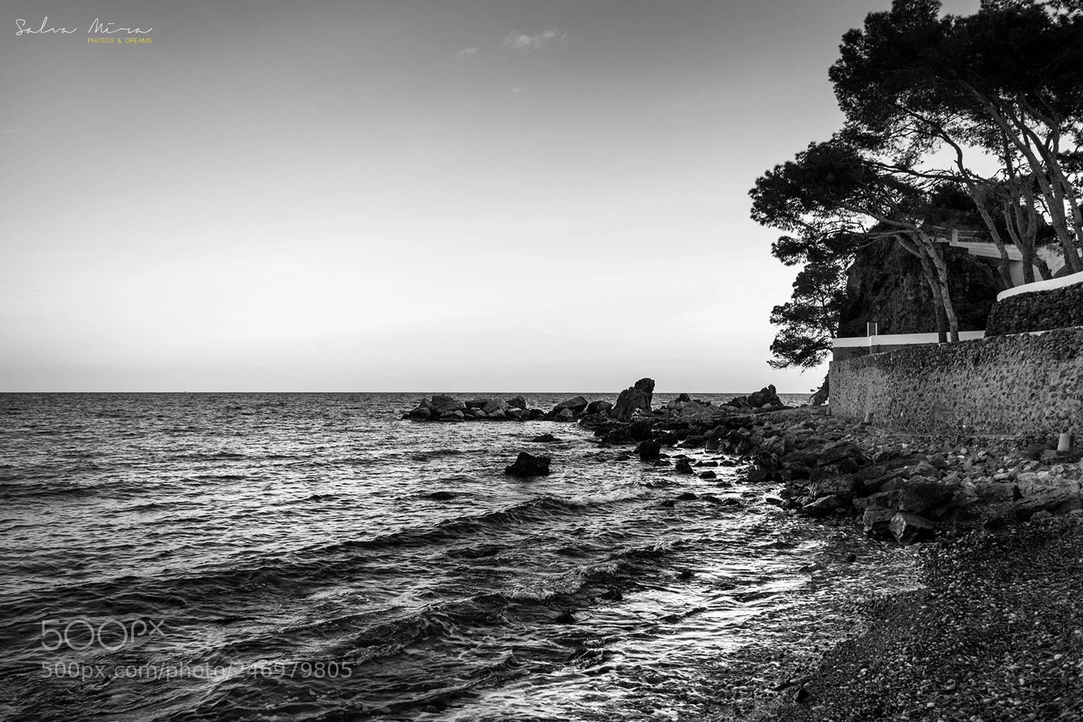 Sony a7 II sample photo. El soio photography