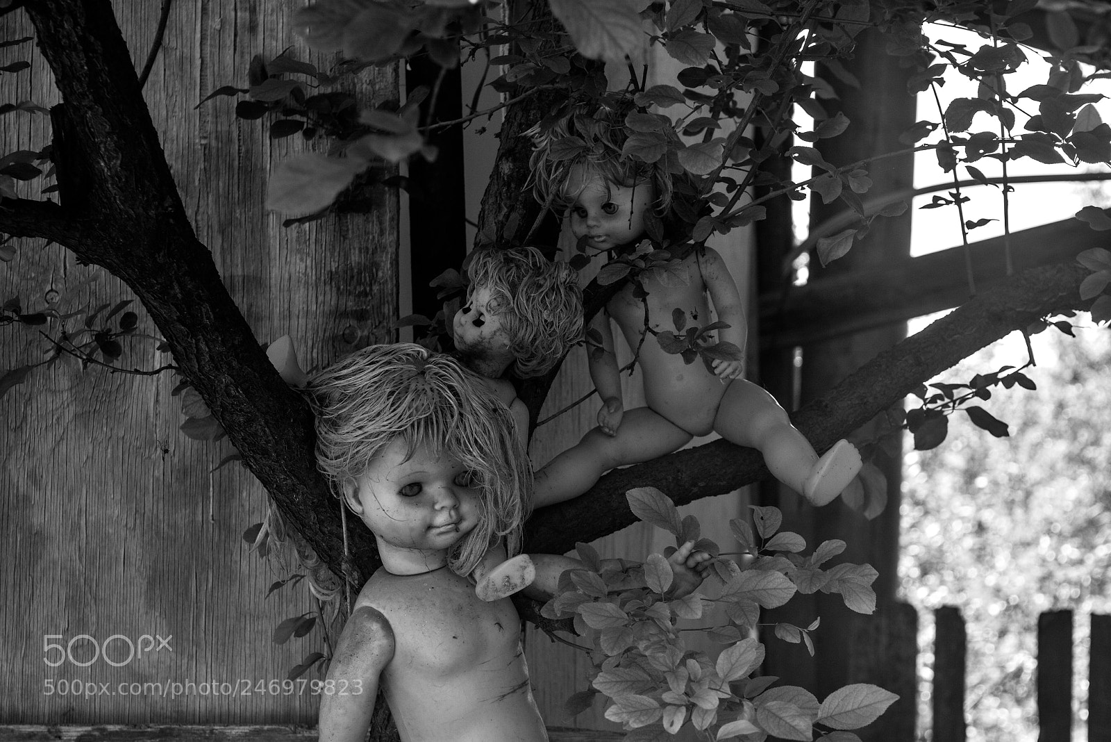 Nikon D5200 sample photo. Dolls photography