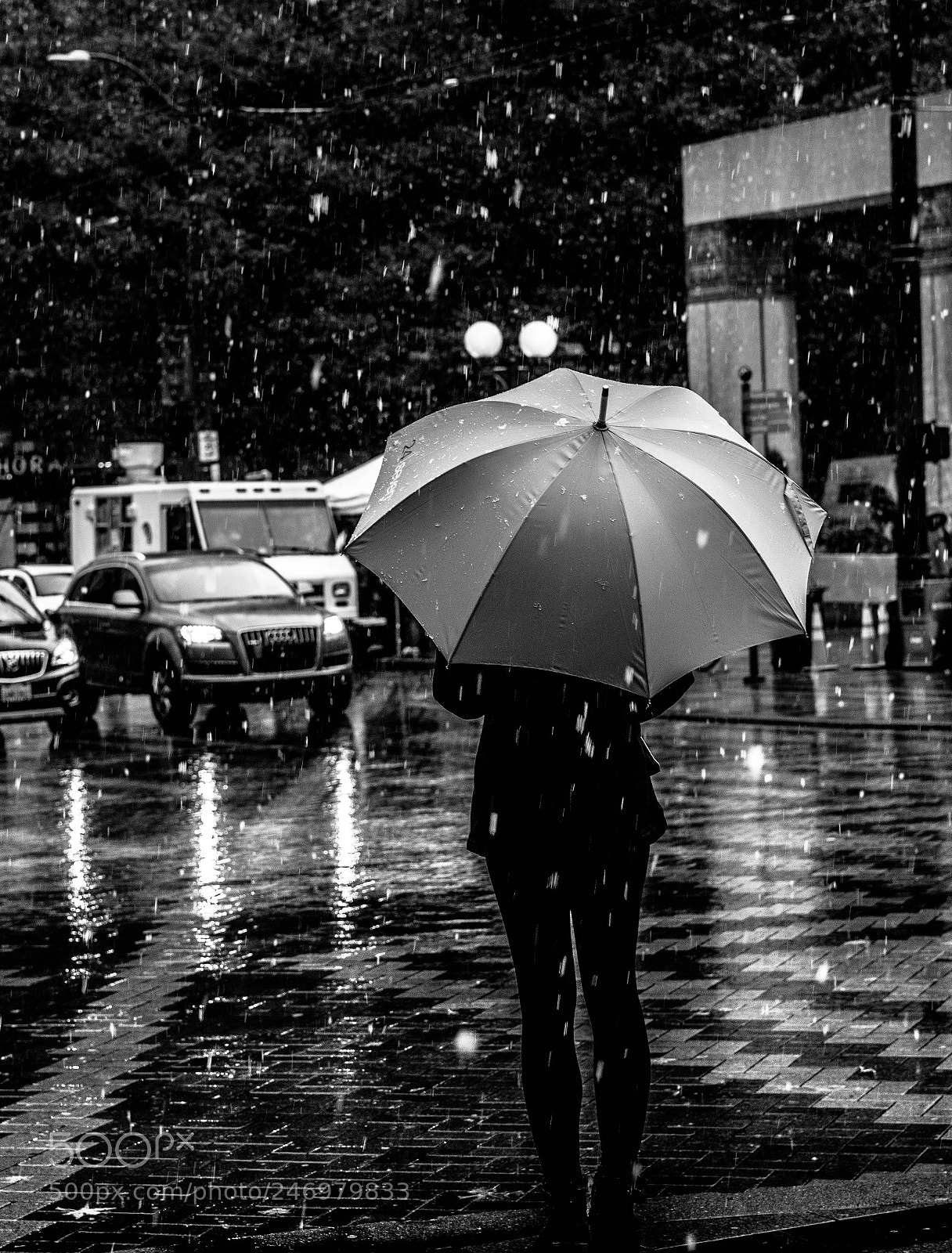 Sony a6300 sample photo. Snowing in seattle? photography