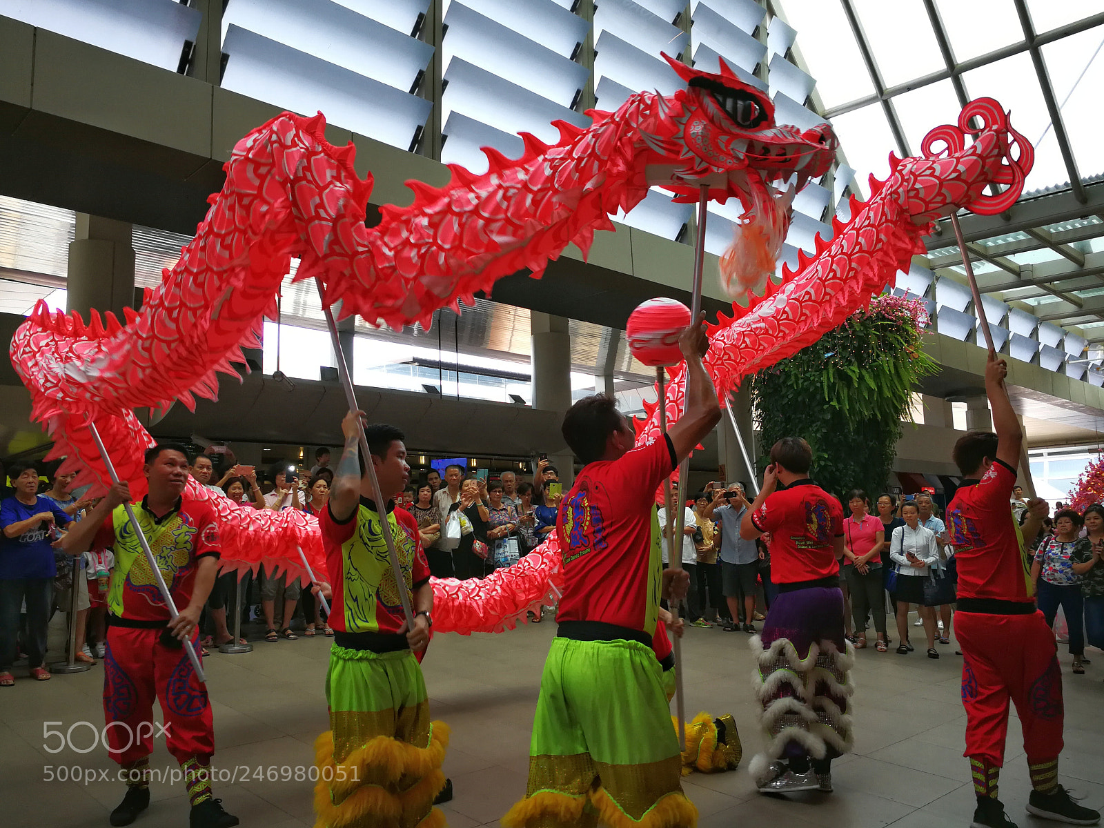 HUAWEI Mate 9 sample photo. Dragon dance photography