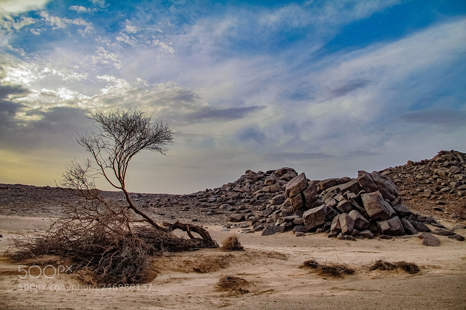 Canon EOS 7D sample photo. Wed&desert photography