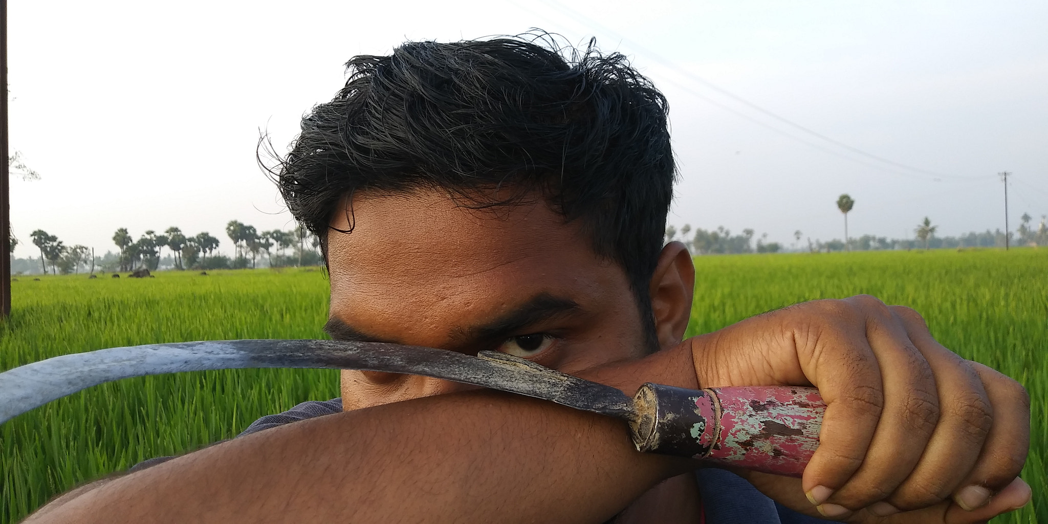 LG Q6 sample photo