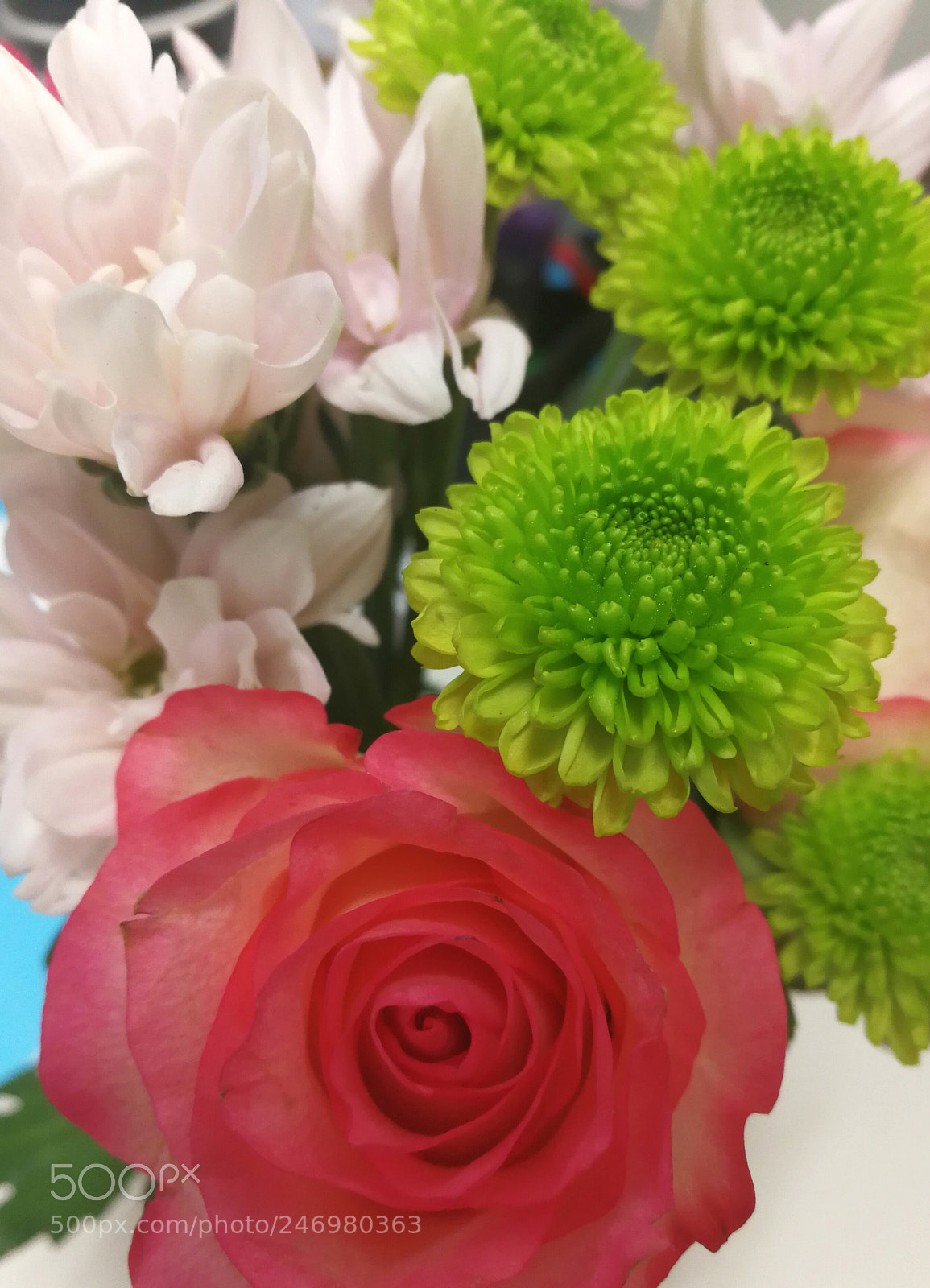 HUAWEI Mate 9 sample photo. Posy photography