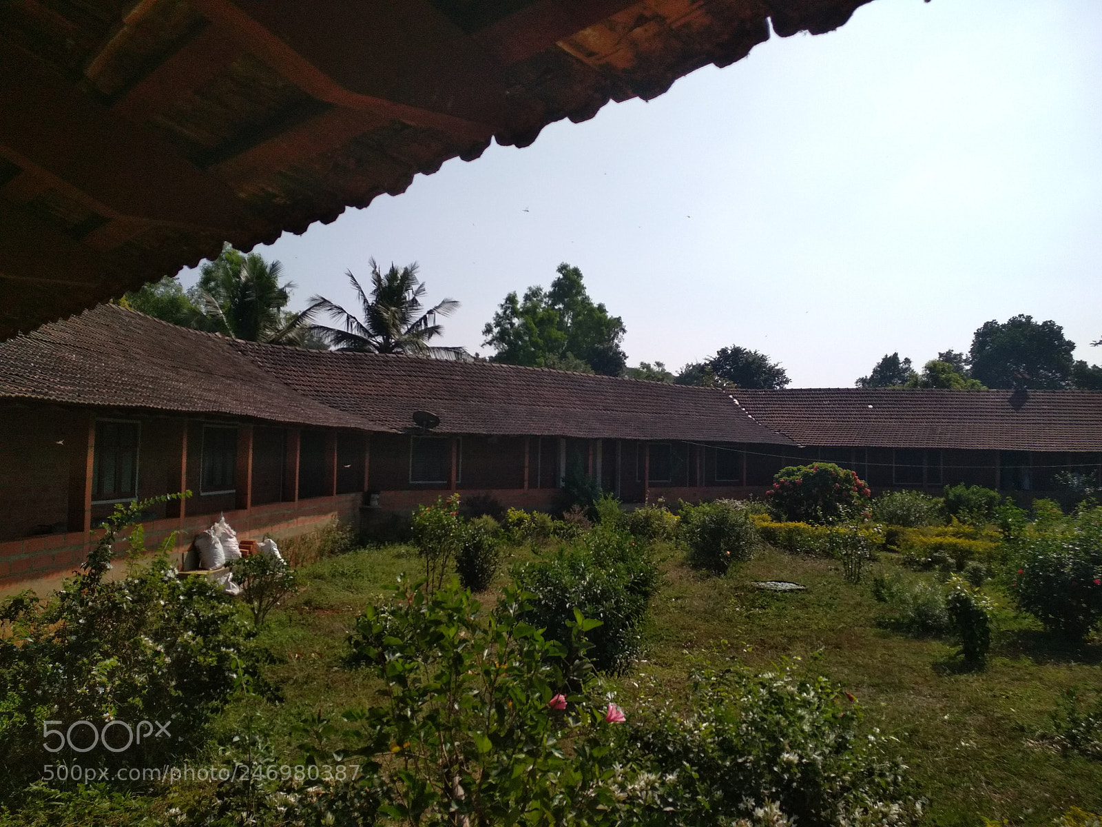 Xiaomi Redmi 4 Pro sample photo. Img_20171216_103240.jpg photography