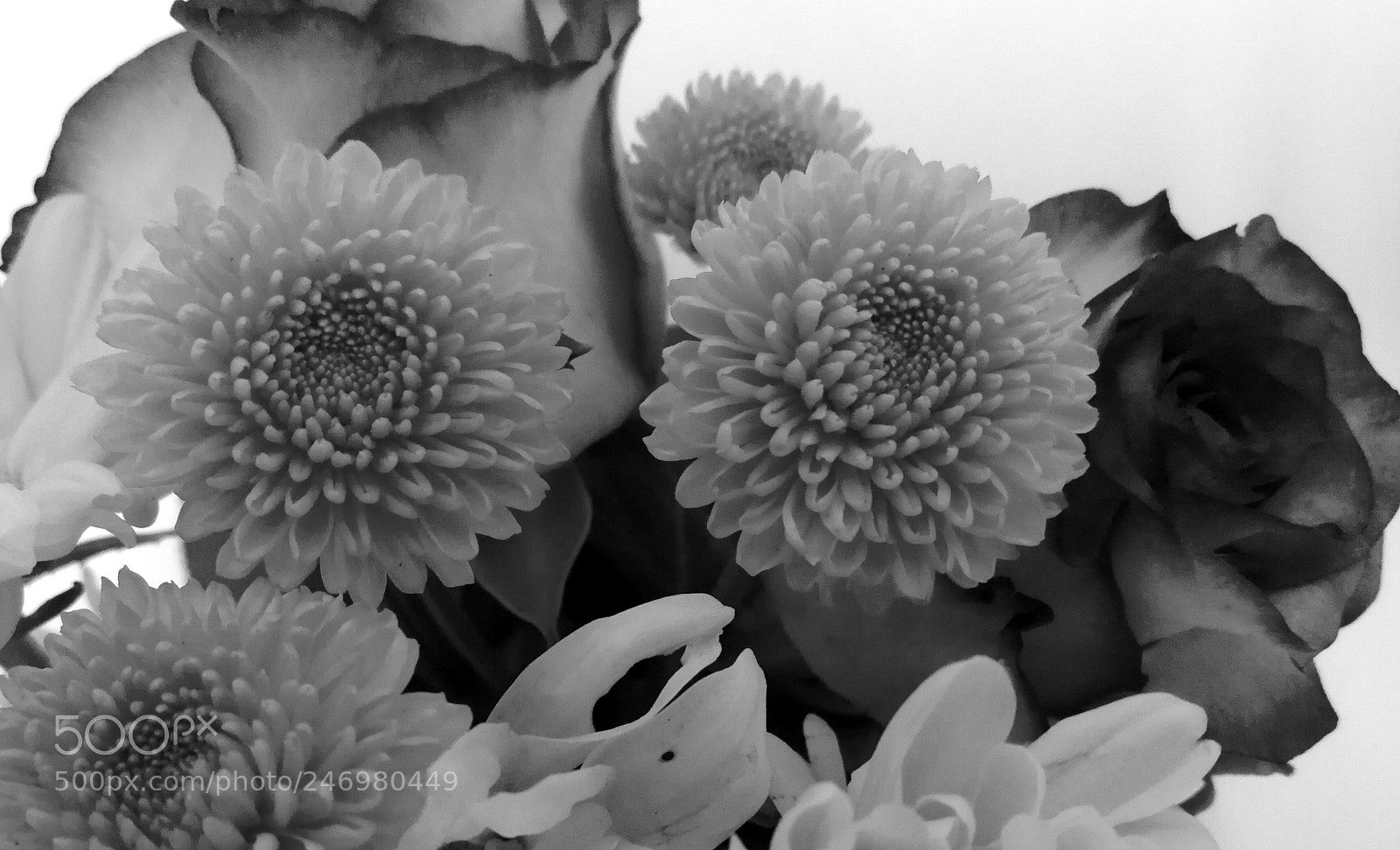 HUAWEI Mate 9 sample photo. Posy 2 photography