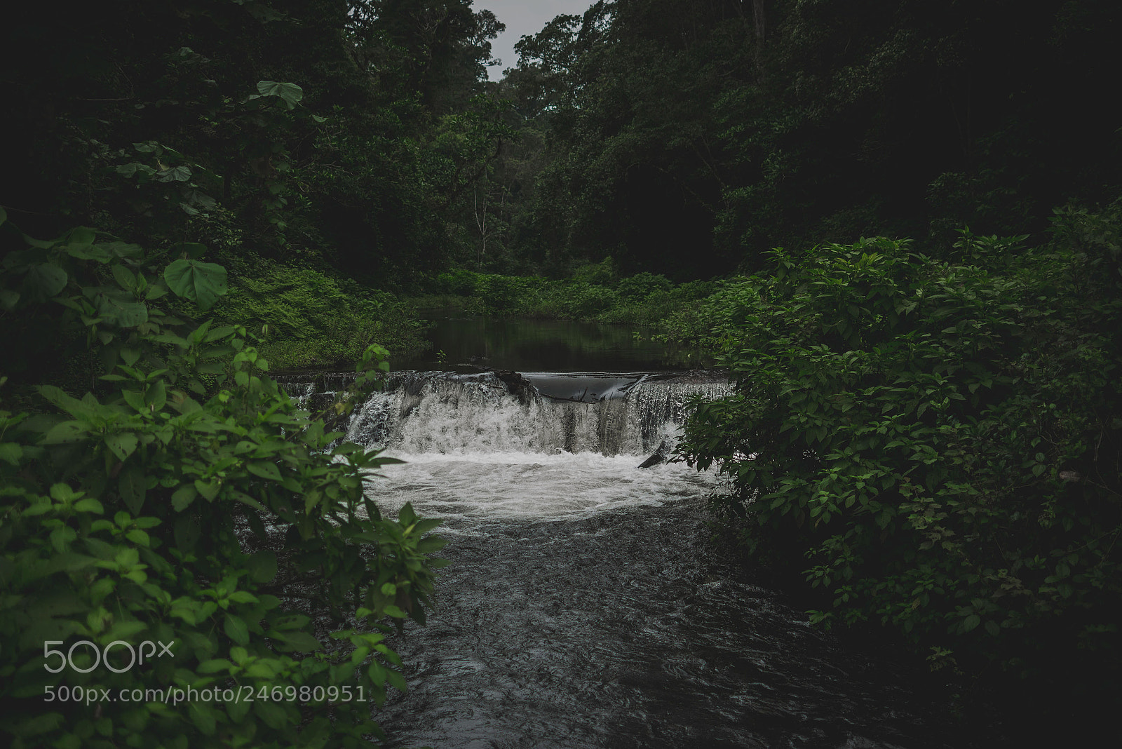 Nikon D610 sample photo. The stream photography