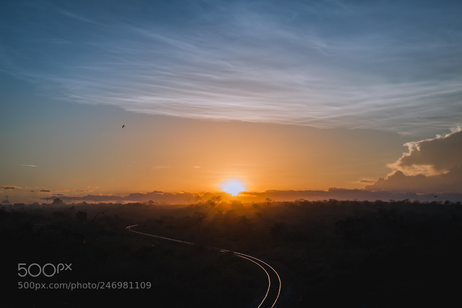 Nikon D610 sample photo. Railway to the sun photography