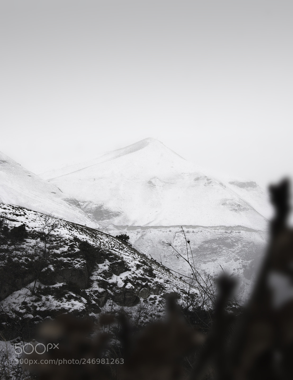 Canon EOS 40D sample photo. Qriz | azerbaijan photography