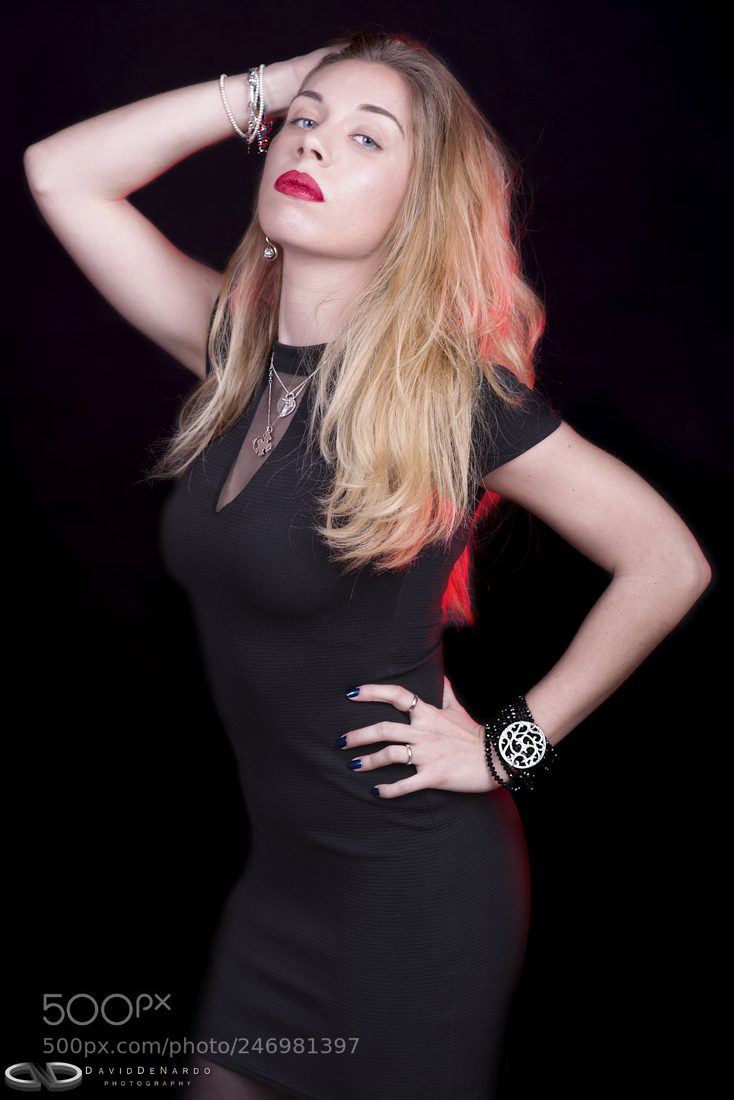 Nikon D810 sample photo. Posing photography
