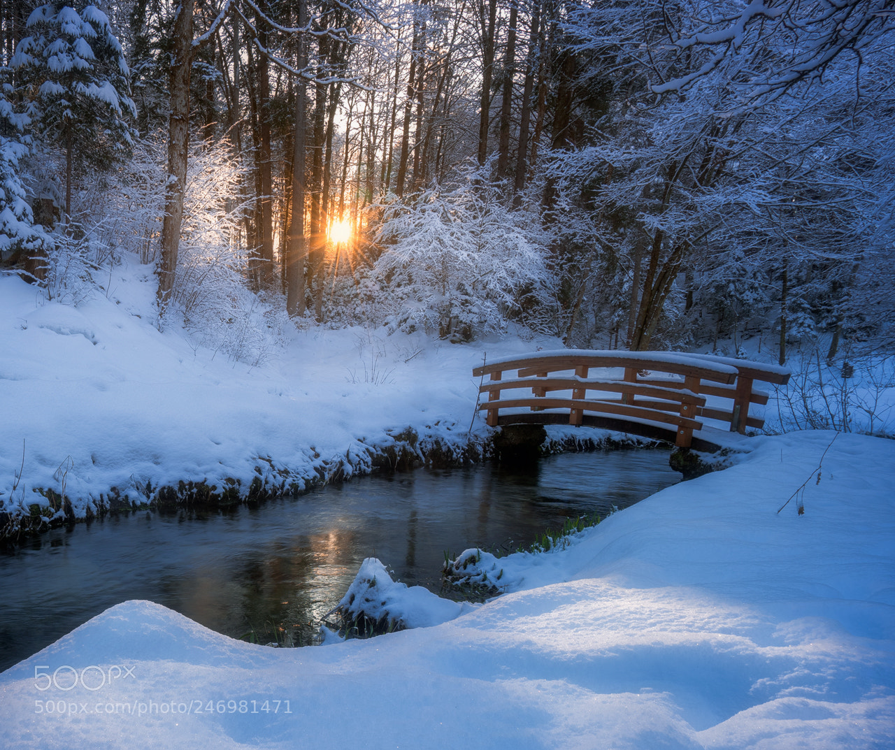 Sony a7 II sample photo. Winter photography