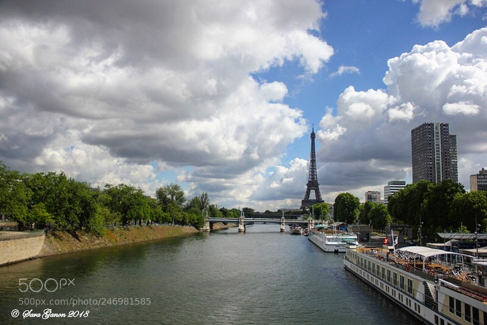 Canon EOS 550D (EOS Rebel T2i / EOS Kiss X4) sample photo. Eiffel tower on a photography