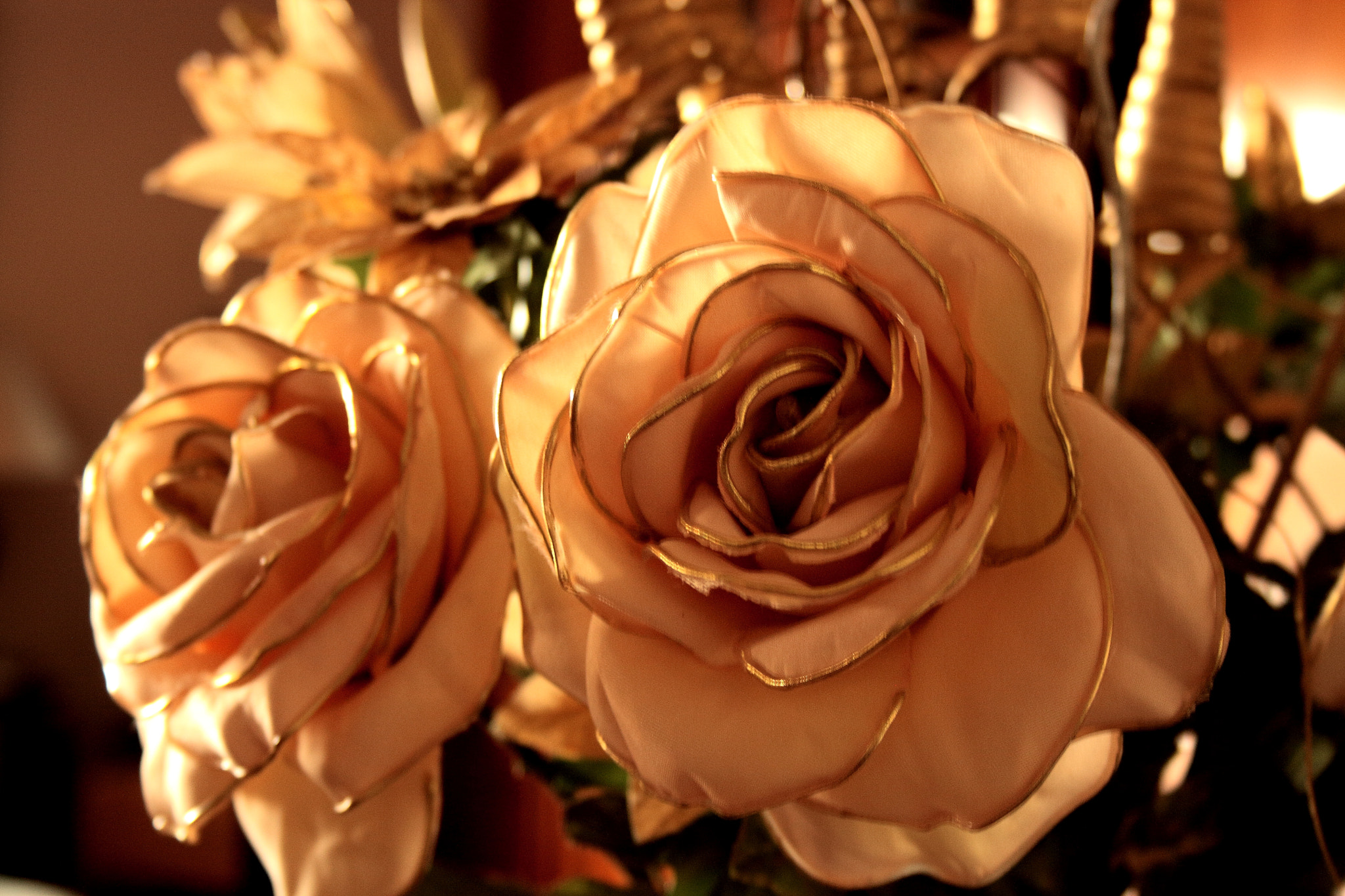 Canon EF-S 18-55mm F3.5-5.6 II sample photo. Flowers photography