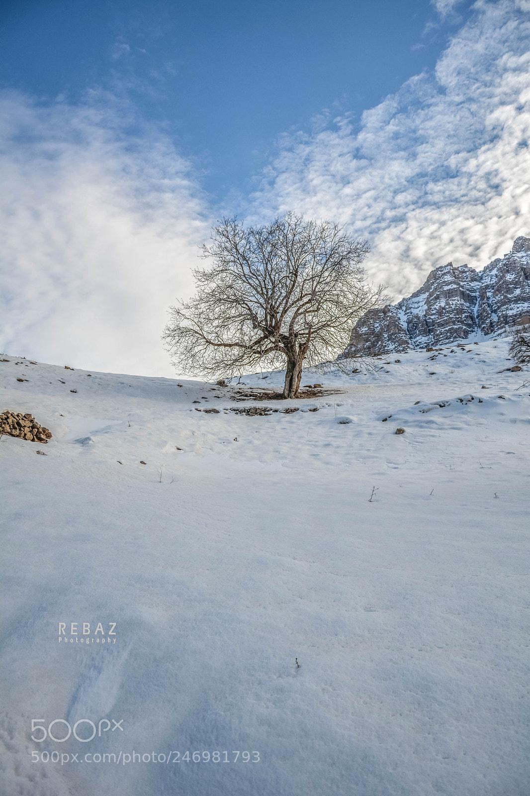 Nikon D7100 sample photo. Untitled photography