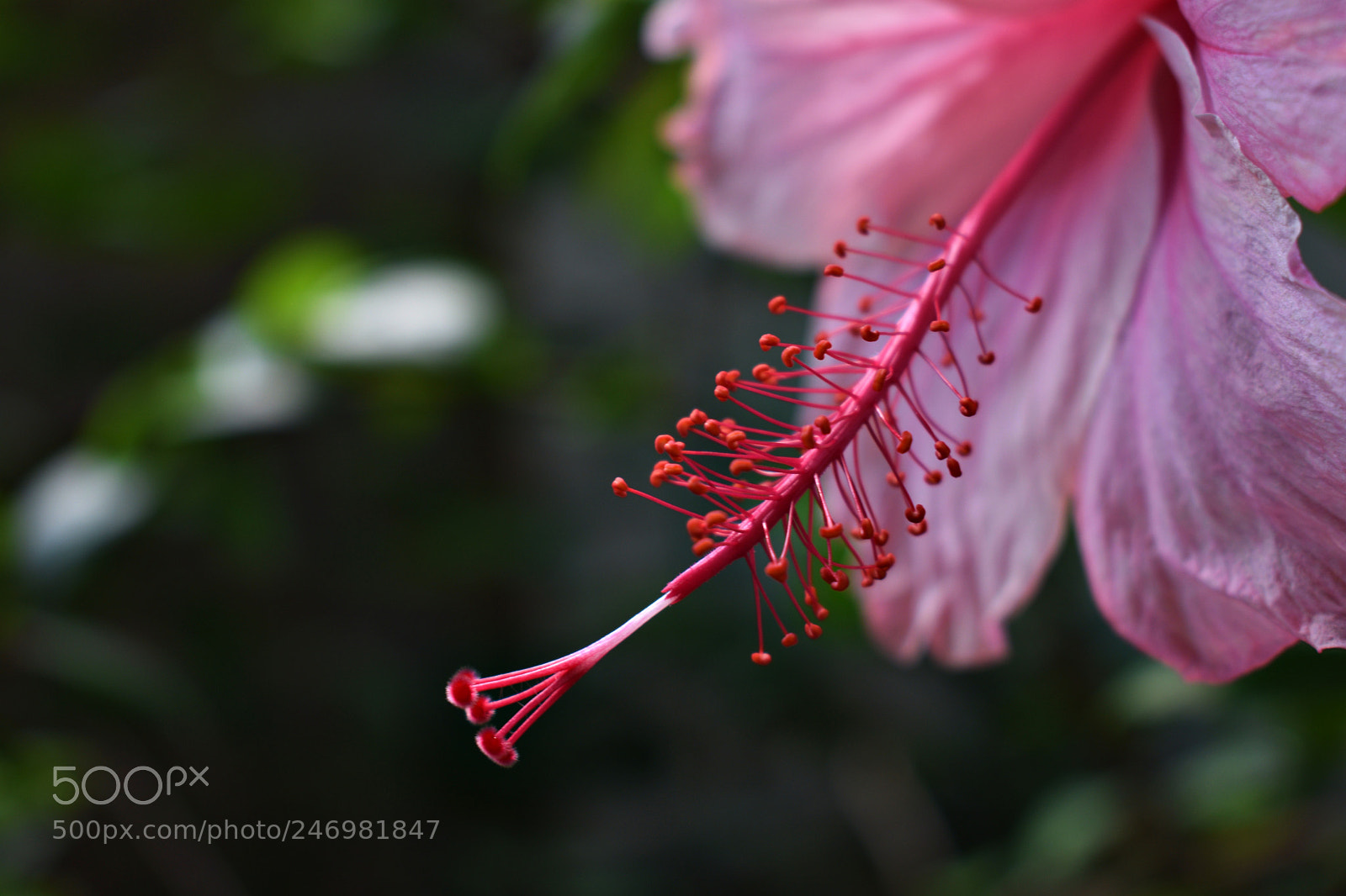 Nikon D3400 sample photo. Morning glory photography