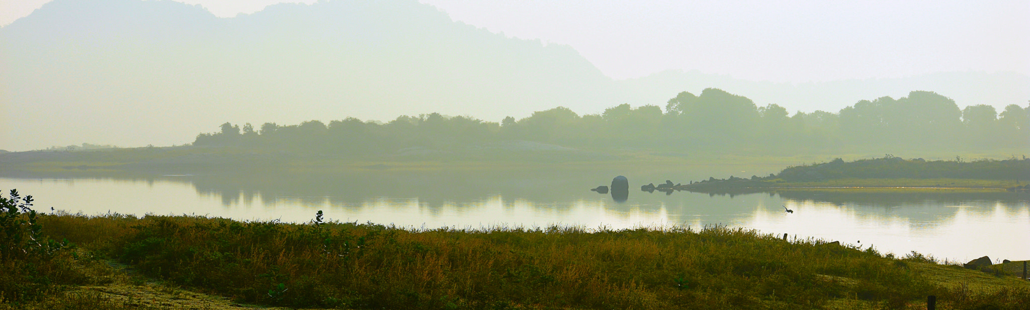 Nikon D3400 sample photo. Early morning in maduru oya photography