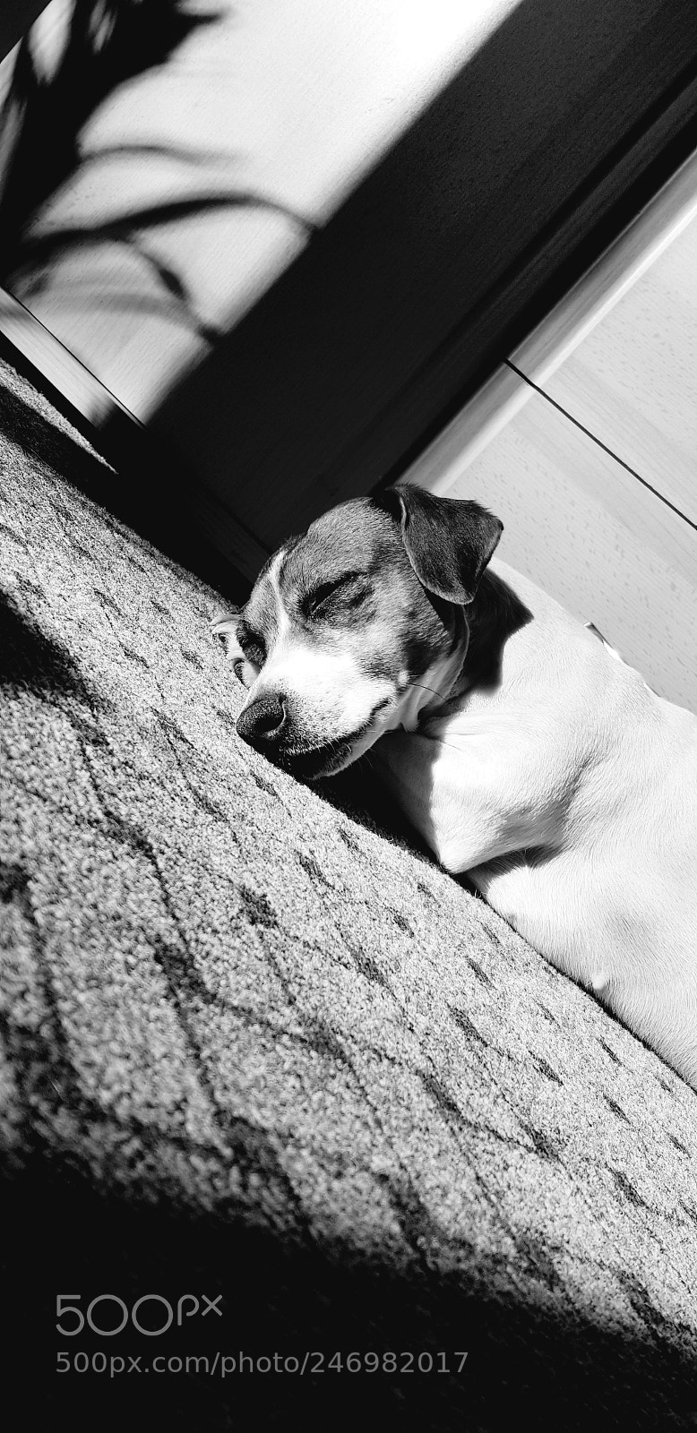 Samsung Galaxy S8 sample photo. Ella photography