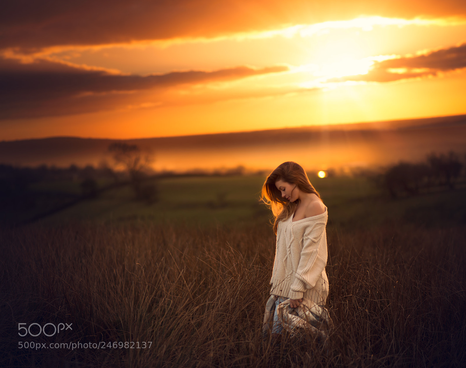Nikon D610 sample photo. Fields of dreams photography