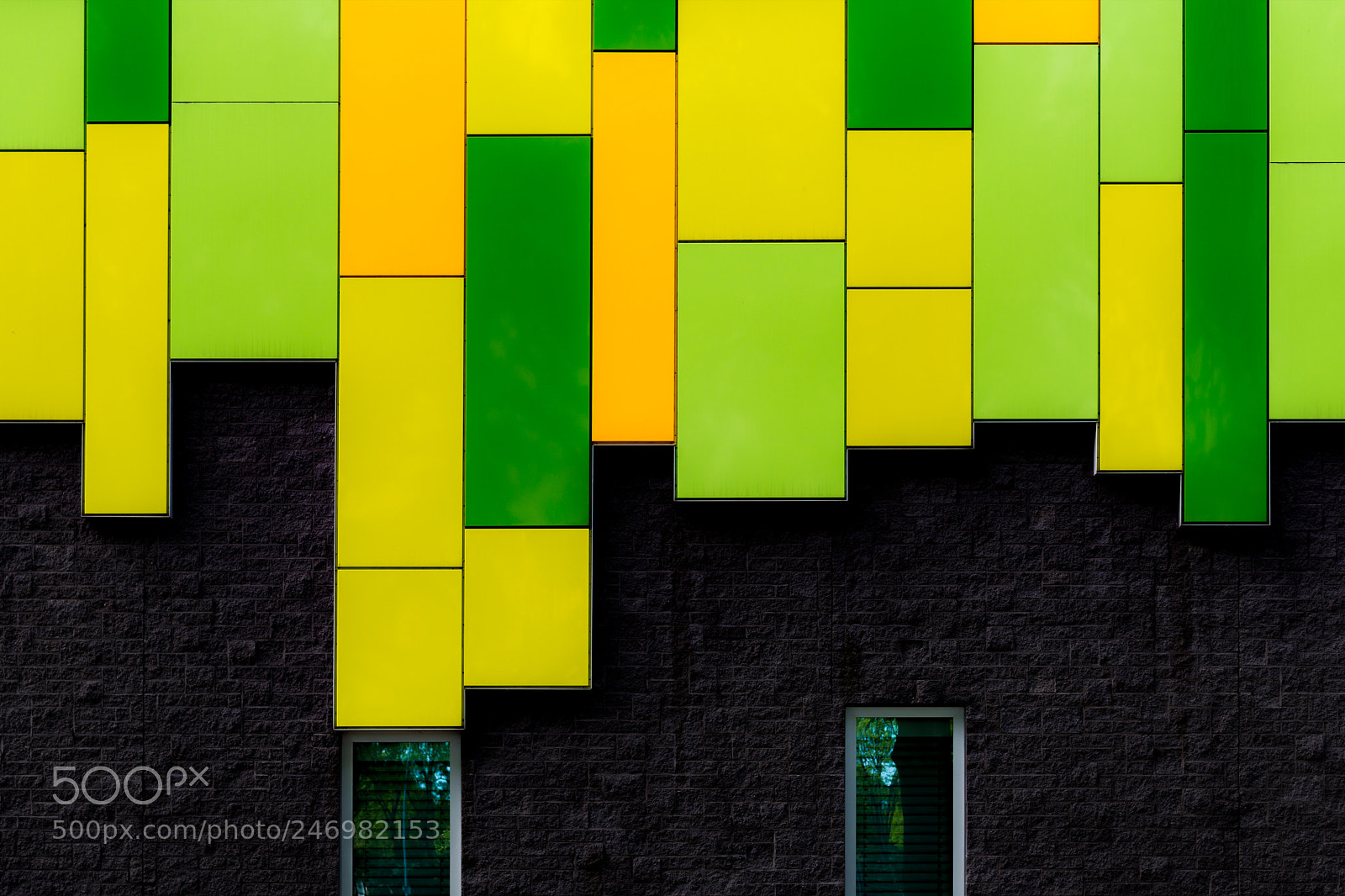 Nikon D800 sample photo. Welgelegen photography