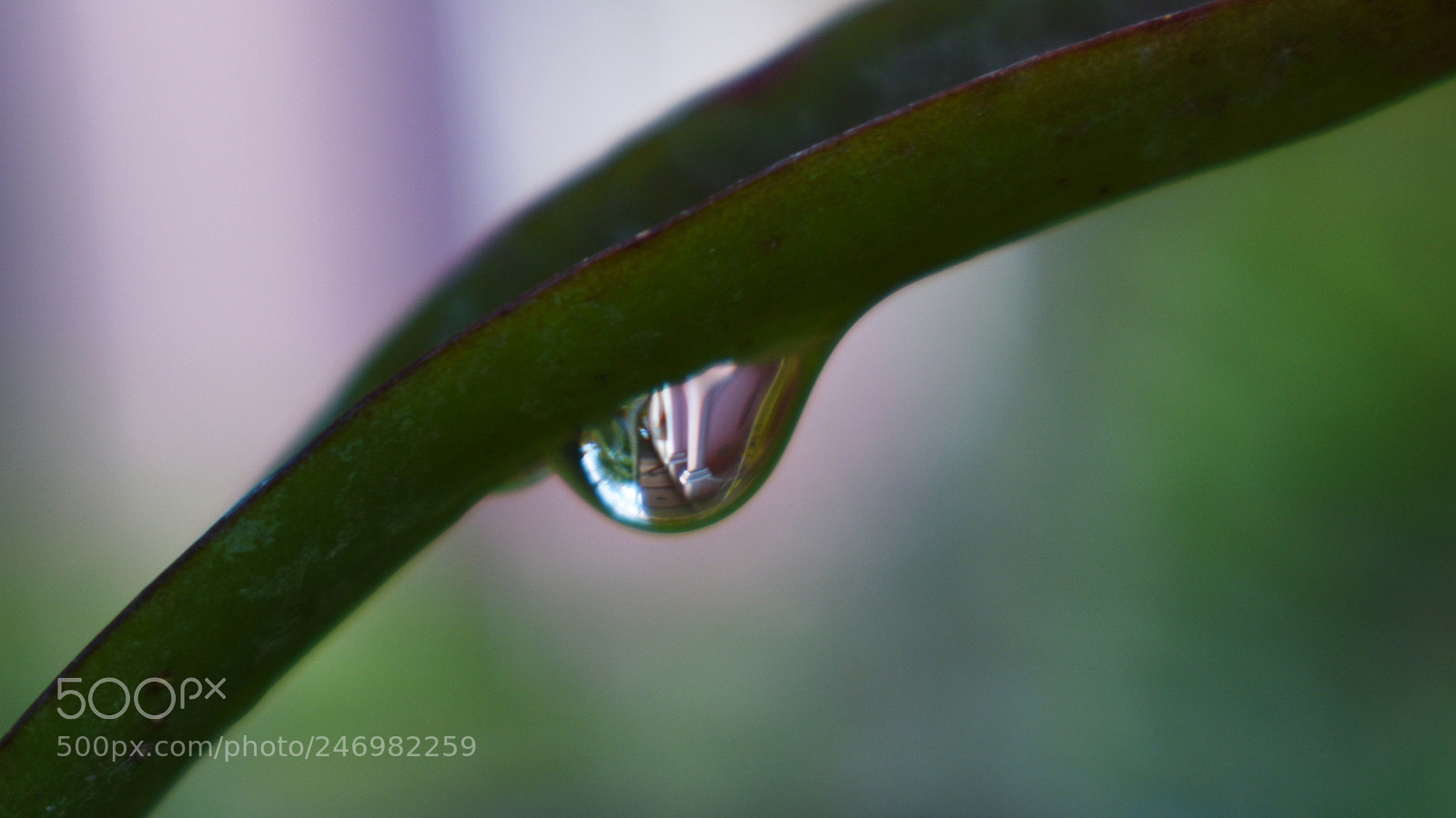 Nikon D3400 sample photo. World through nature's lens photography
