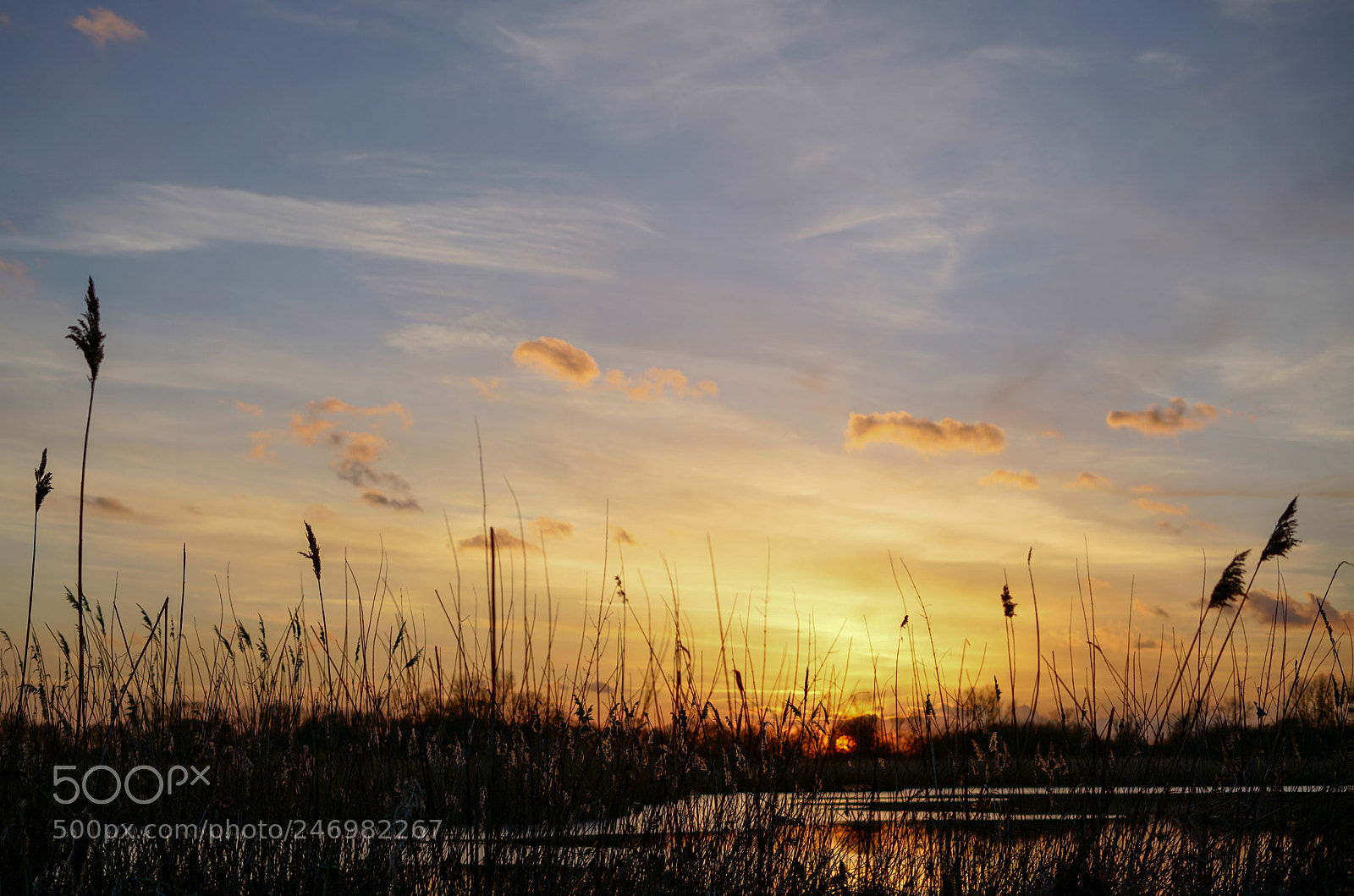 Sony a7R II sample photo. Sonnenuntergang in den rieselfeldern photography