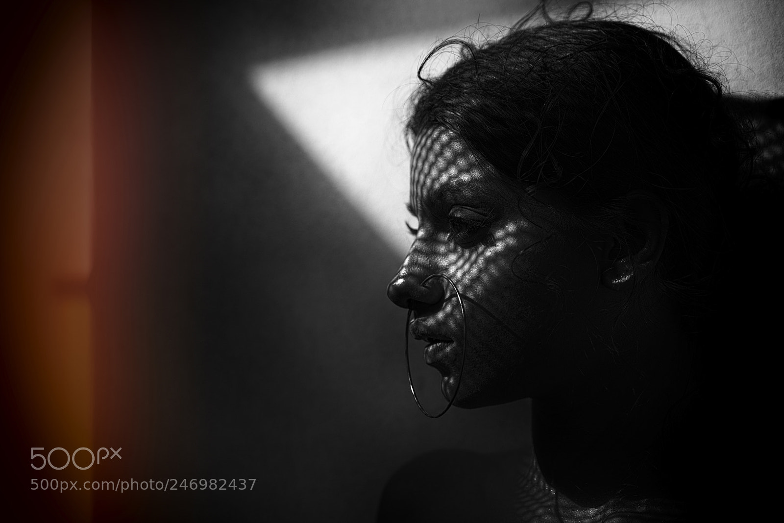 Nikon D610 sample photo. Untitled photography