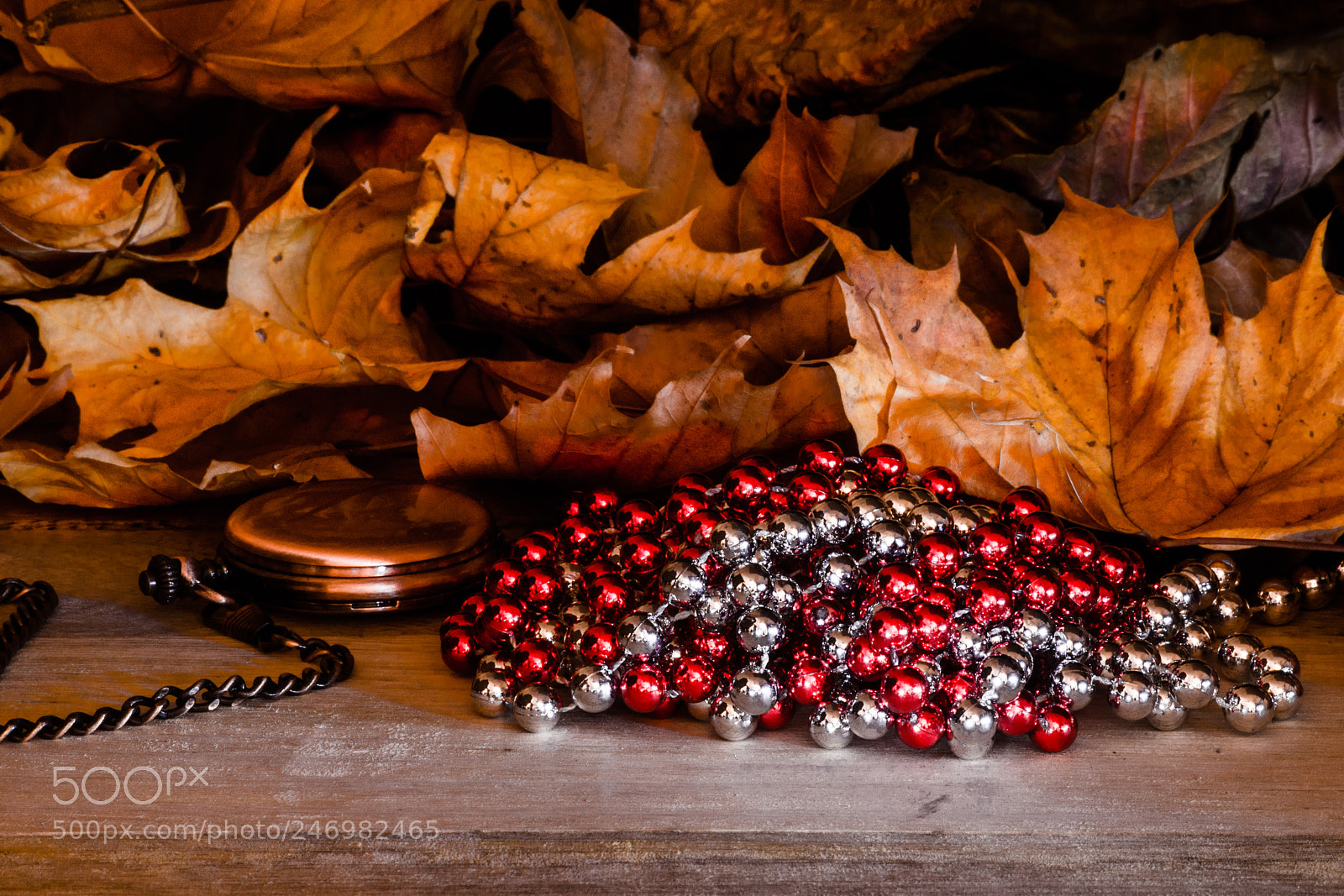 Nikon D7200 sample photo. Orologio e collana photography