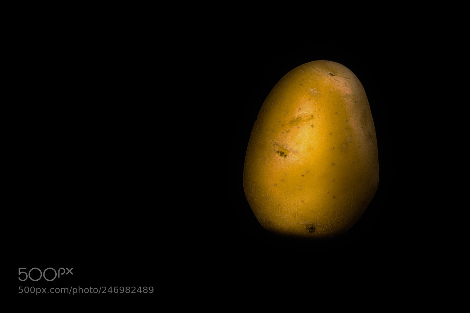 Nikon D7200 sample photo. Ritratto di patata gialla photography