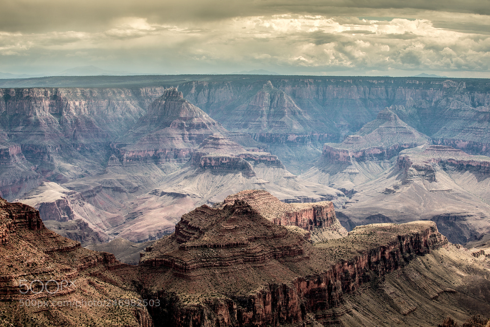 Nikon D800 sample photo. Grand canyon - north photography