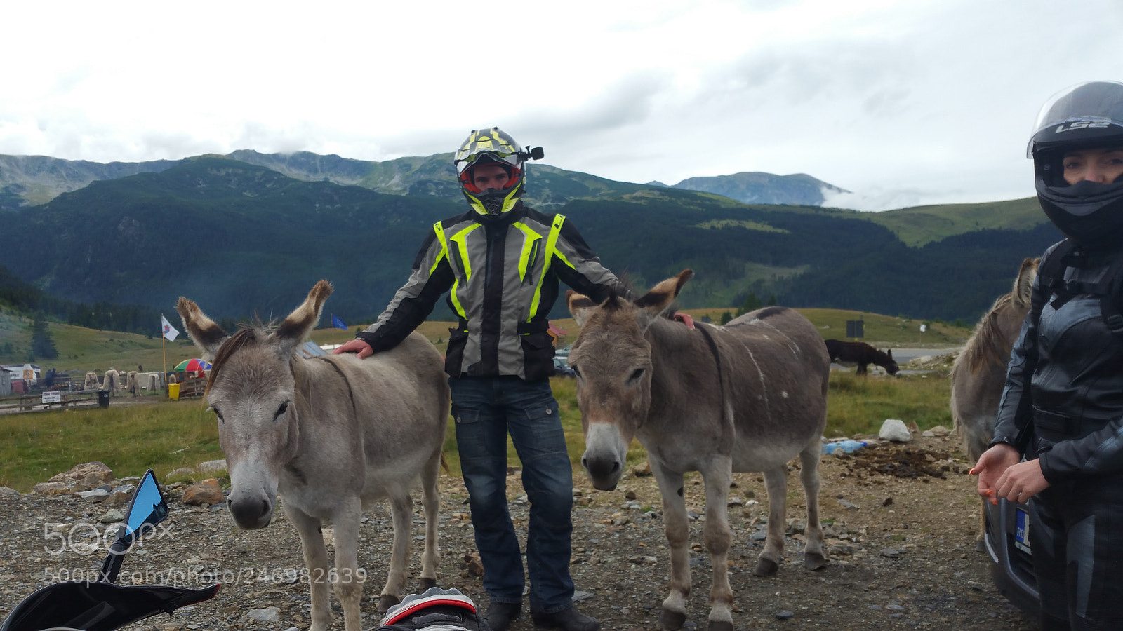 Samsung Galaxy Note4 sample photo. #3donkey ? #romania #transalpina photography