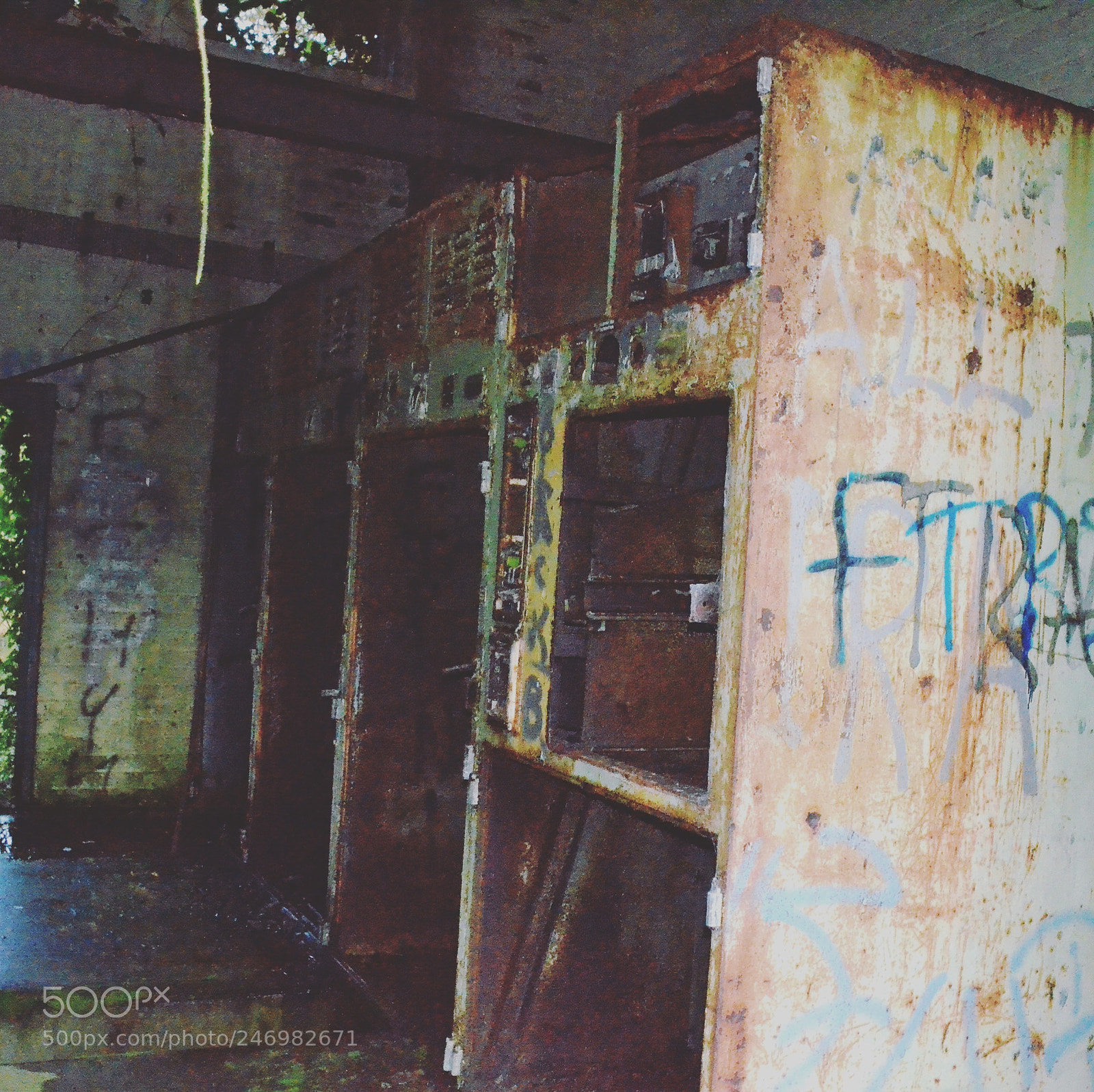 Nikon D3100 sample photo. Untitled photography