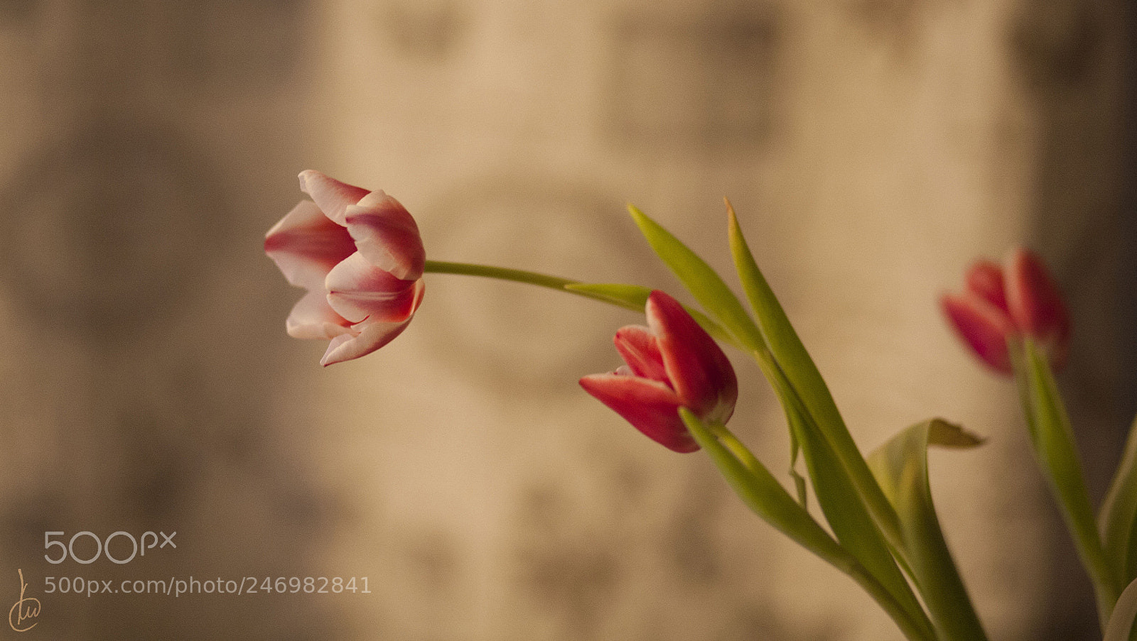 Canon EOS 5D sample photo. Love photography