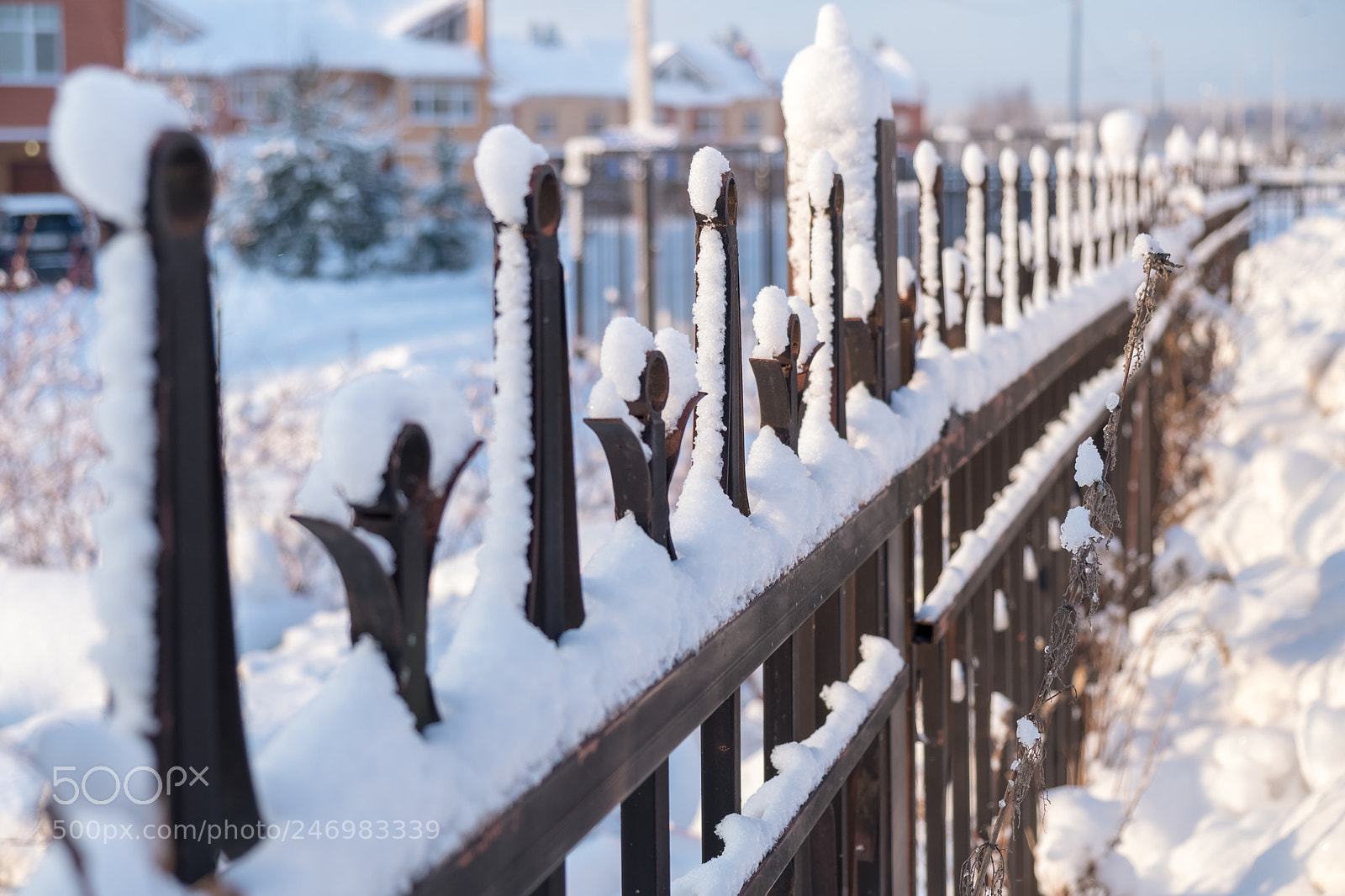 Fujifilm X-T20 sample photo. Nature, russia photography