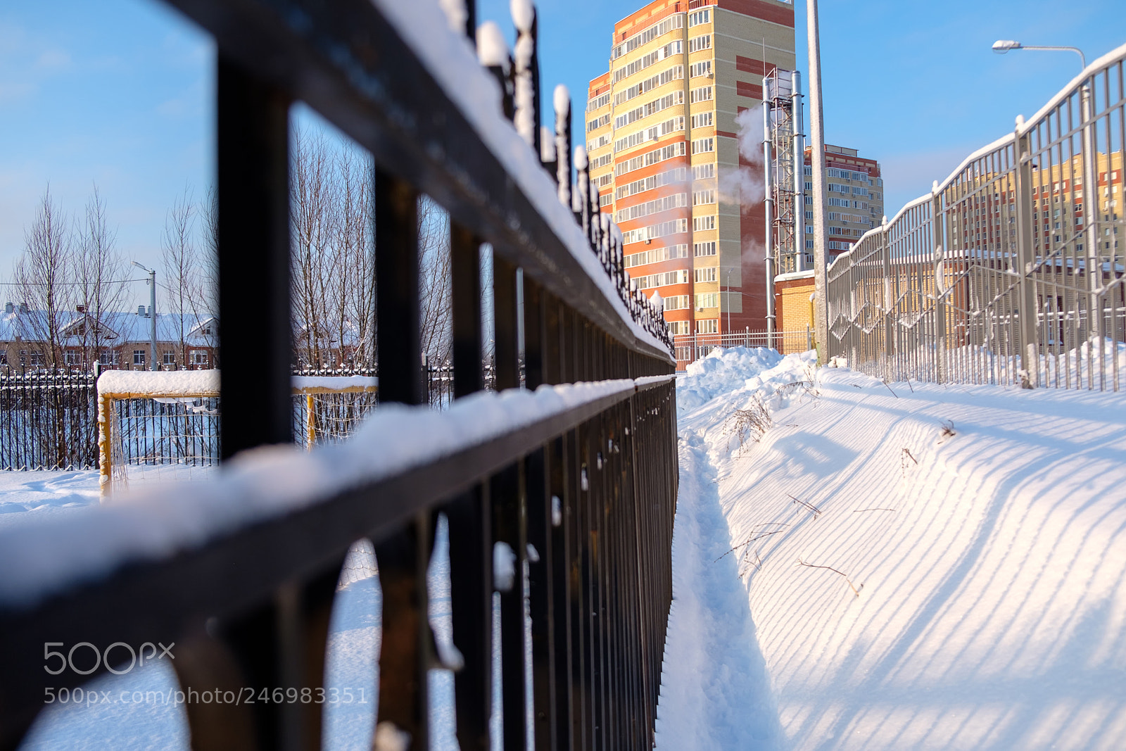 Fujifilm X-T20 sample photo. Nature, russia photography