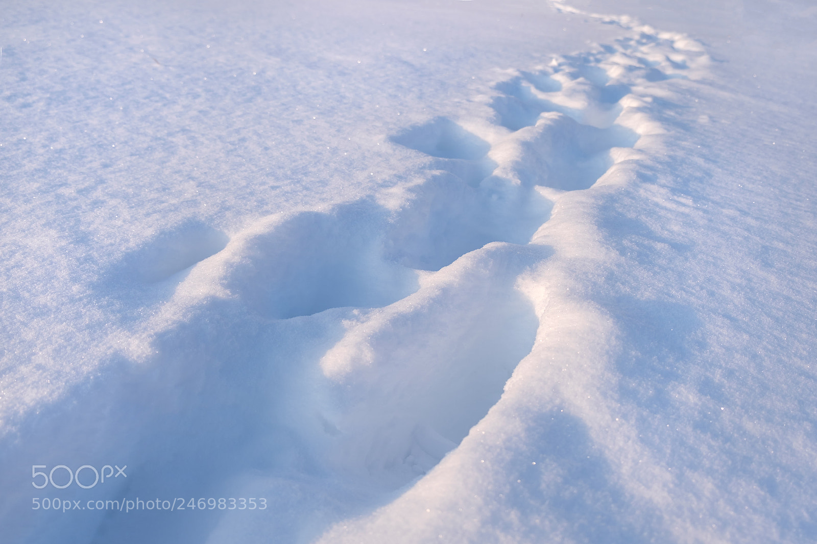Fujifilm X-T20 sample photo. Nature, russia photography