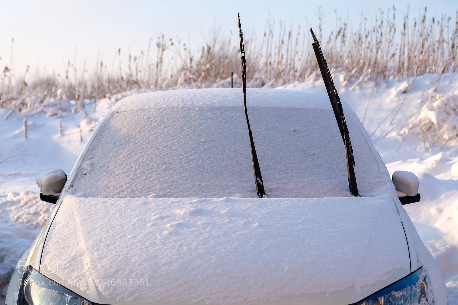 Fujifilm X-T20 sample photo. Nature, russia photography