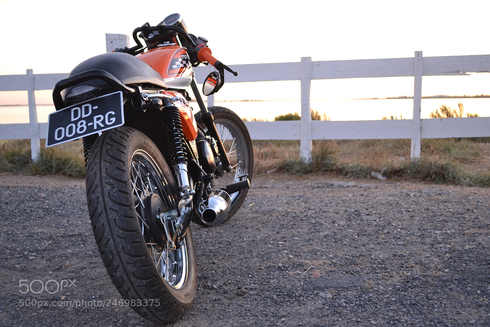 Nikon D3100 sample photo. [] photography