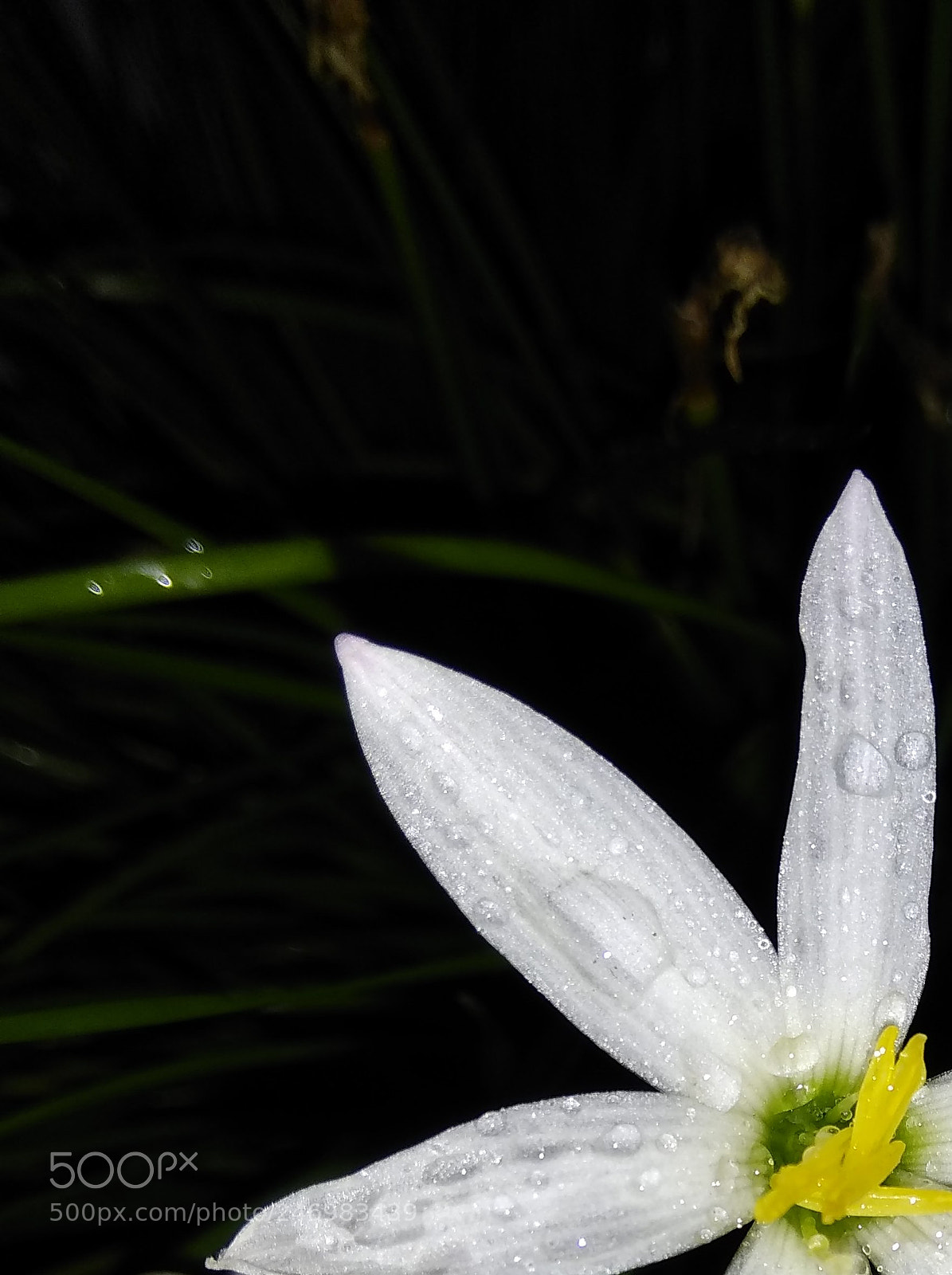 Xiaomi Redmi Note 4 sample photo. Img_20170901_181023-001.jpg photography