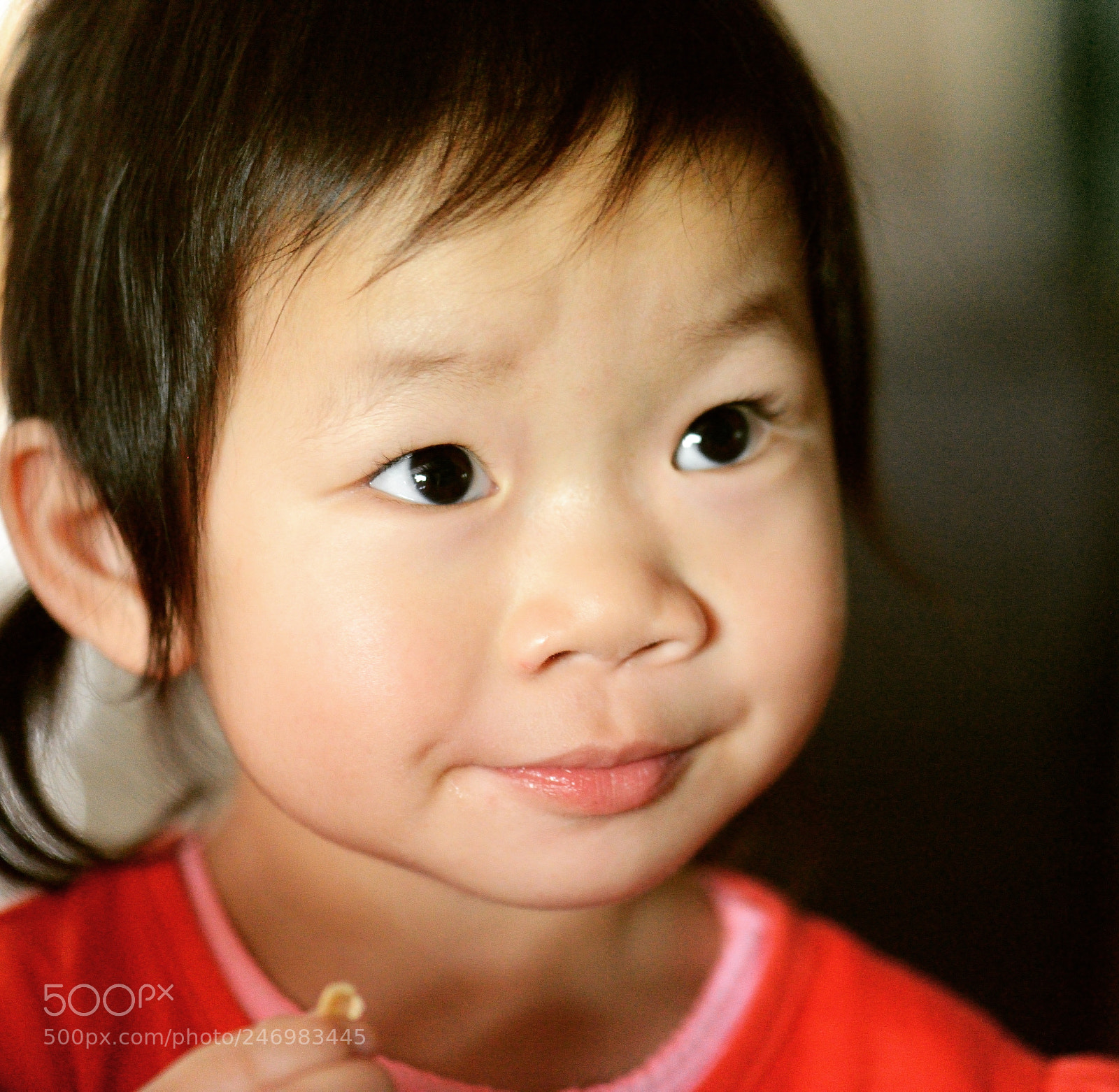 Nikon D800 sample photo. Untitled photography